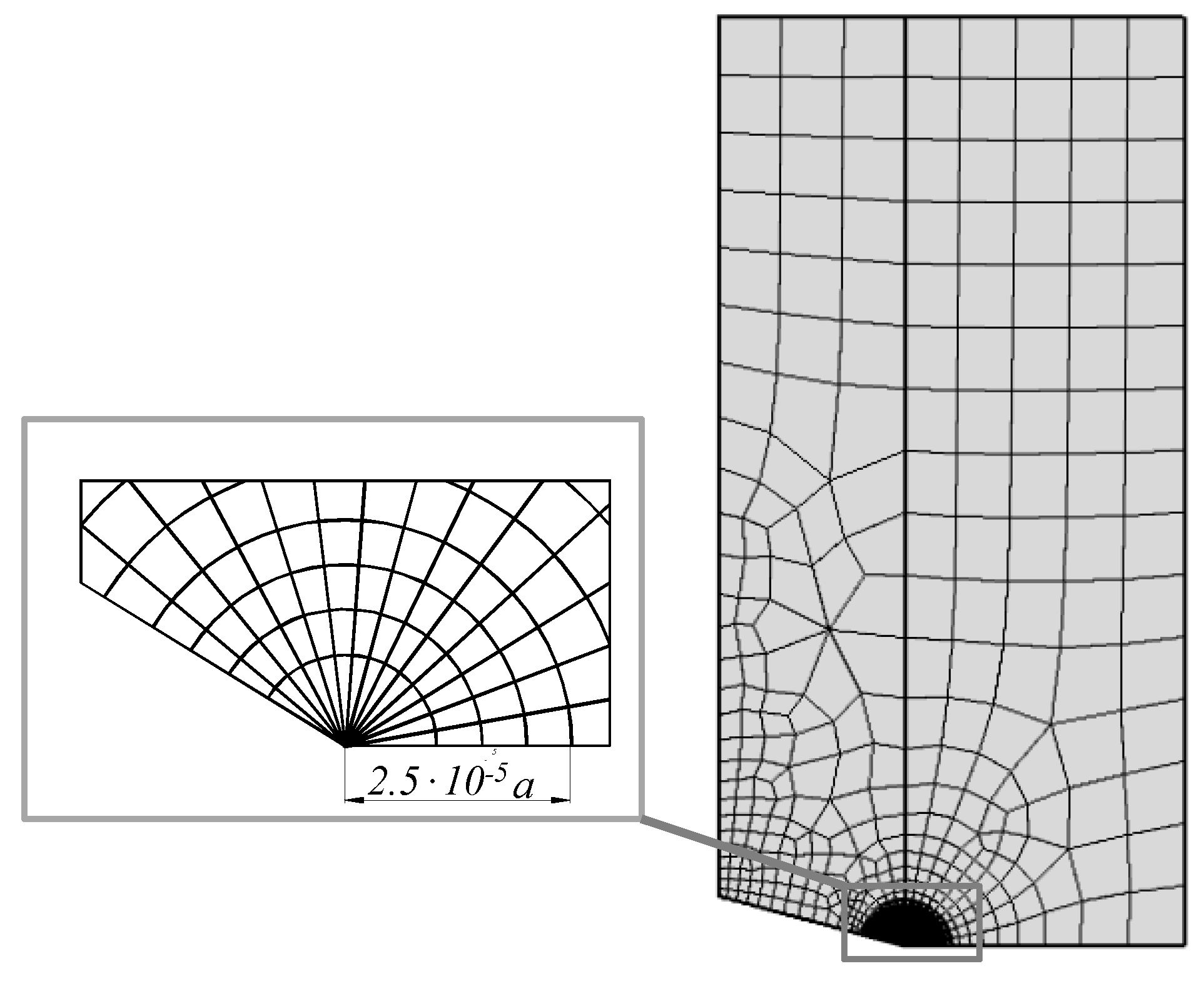 Materials 14 04466 g005