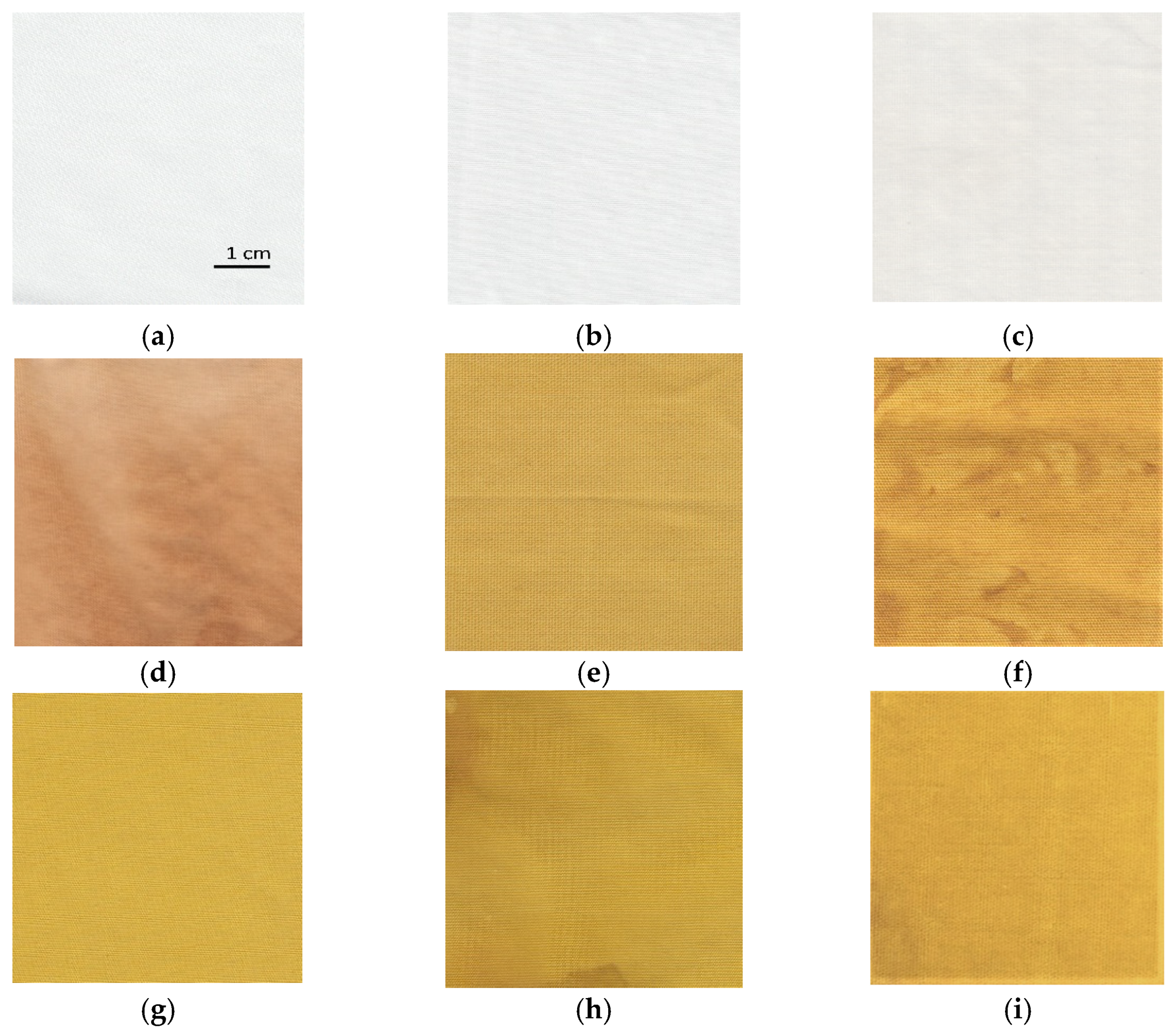 Materials 14 04472 g008