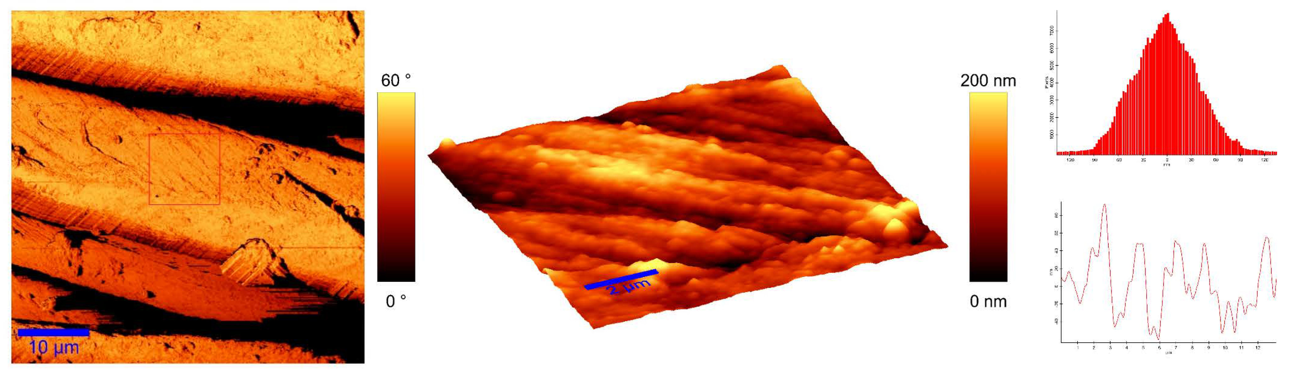 Materials 14 04472 g013