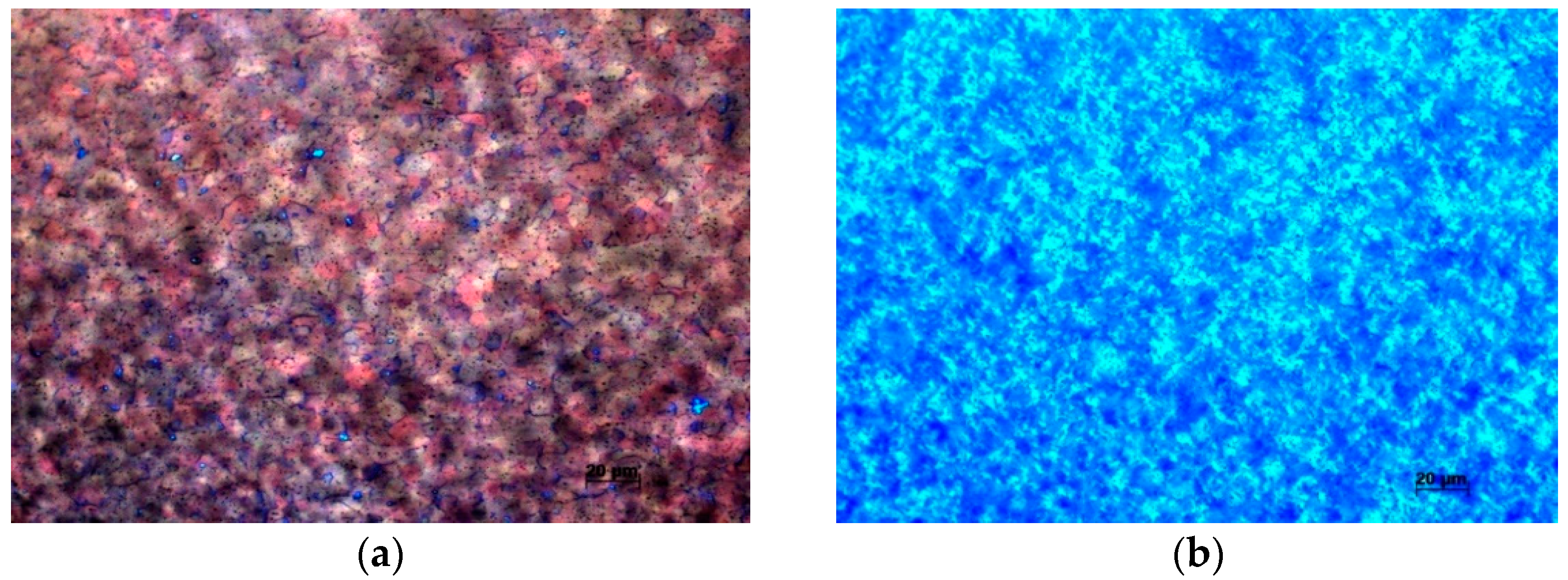 Materials 14 04494 g001