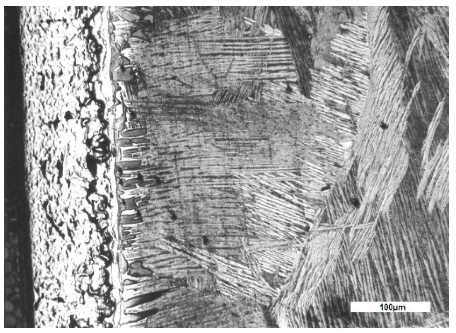 Materials 14 04494 g002