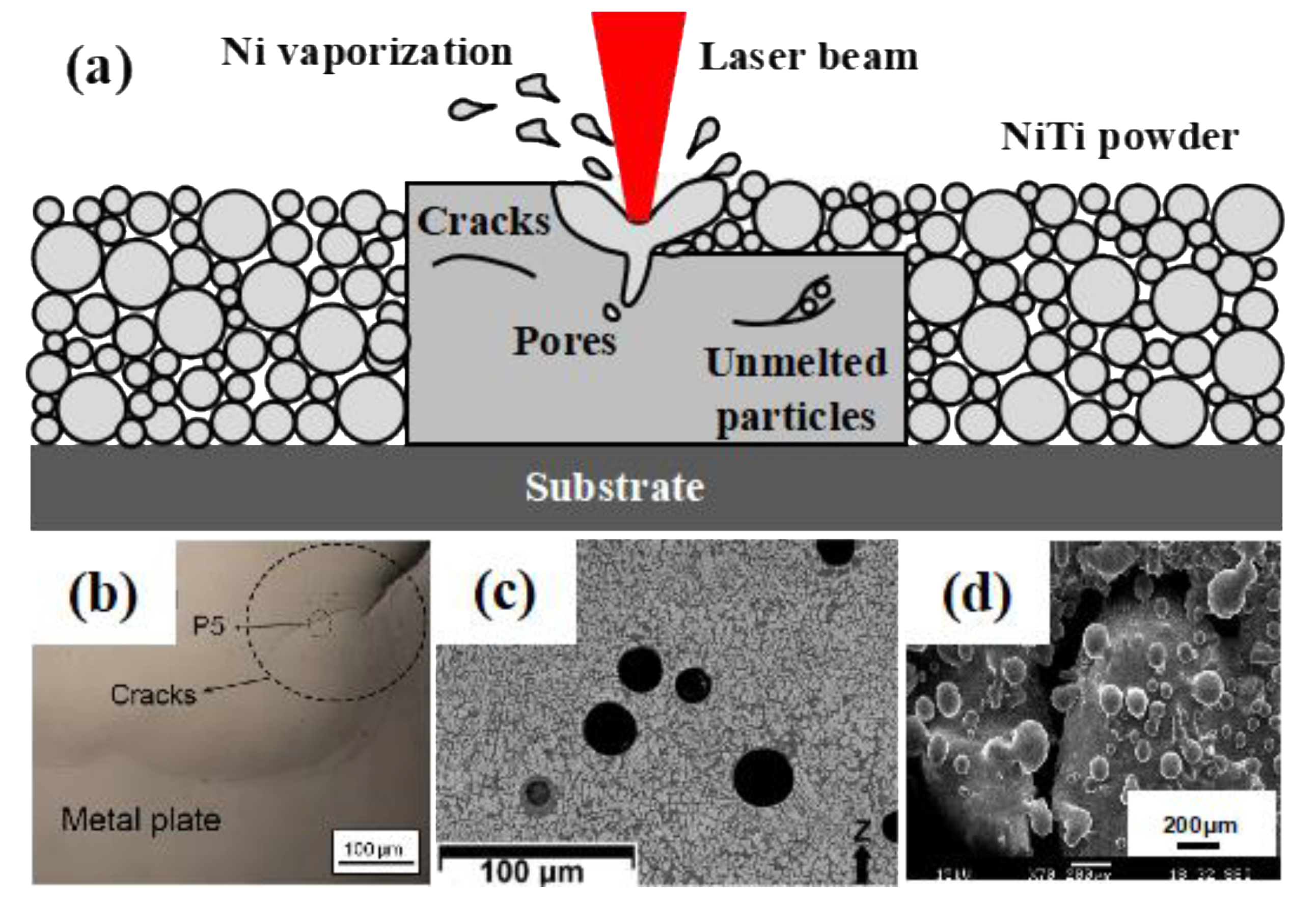 Materials 14 04496 g005
