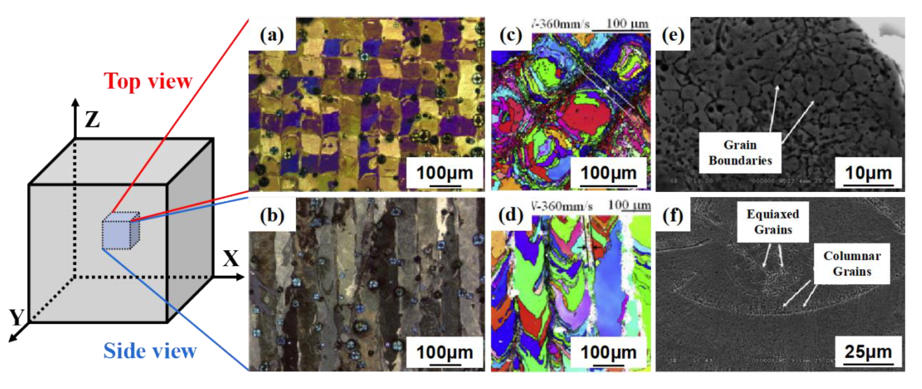 Materials 14 04496 g006