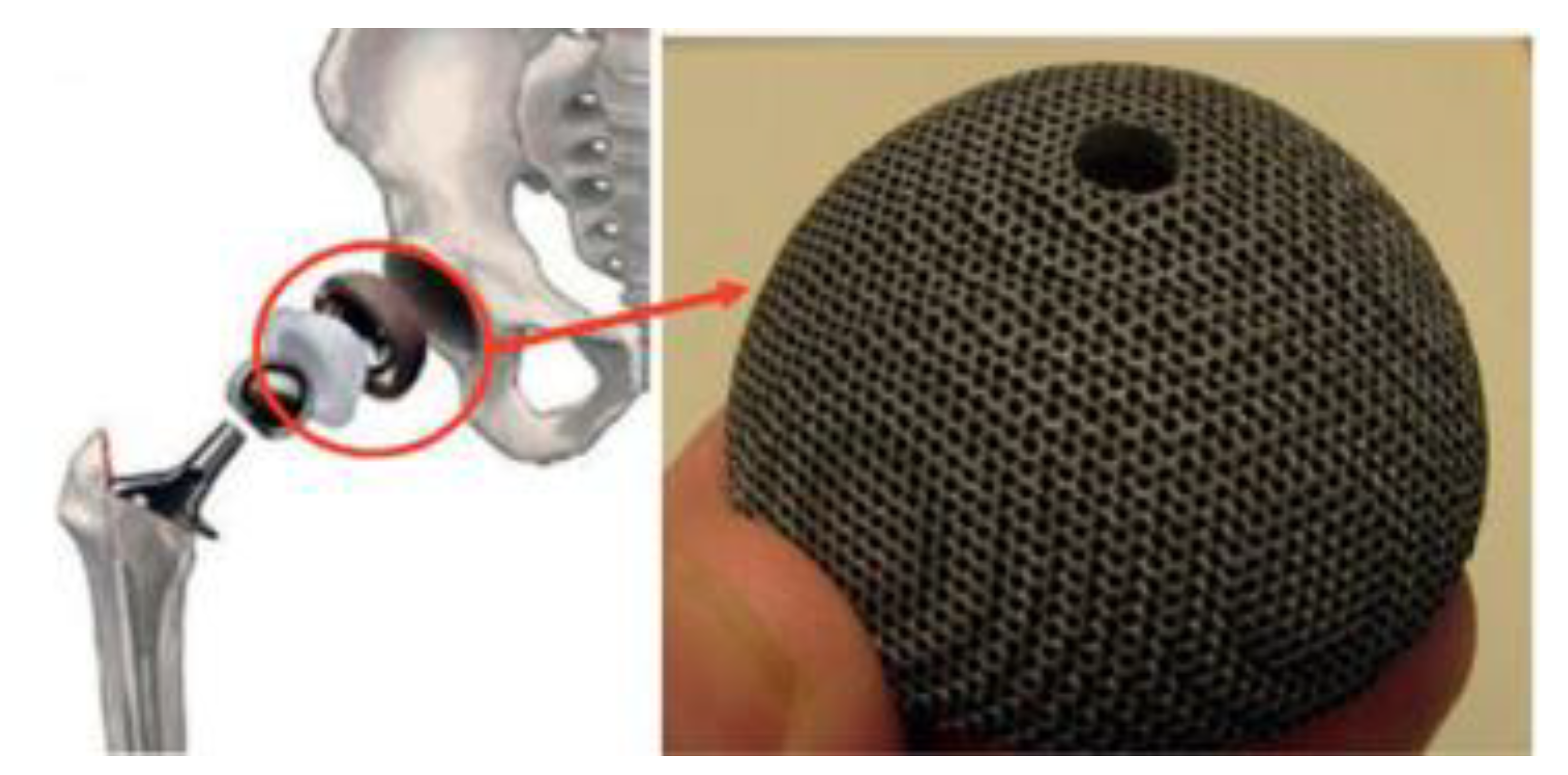 Materials 14 04496 g014