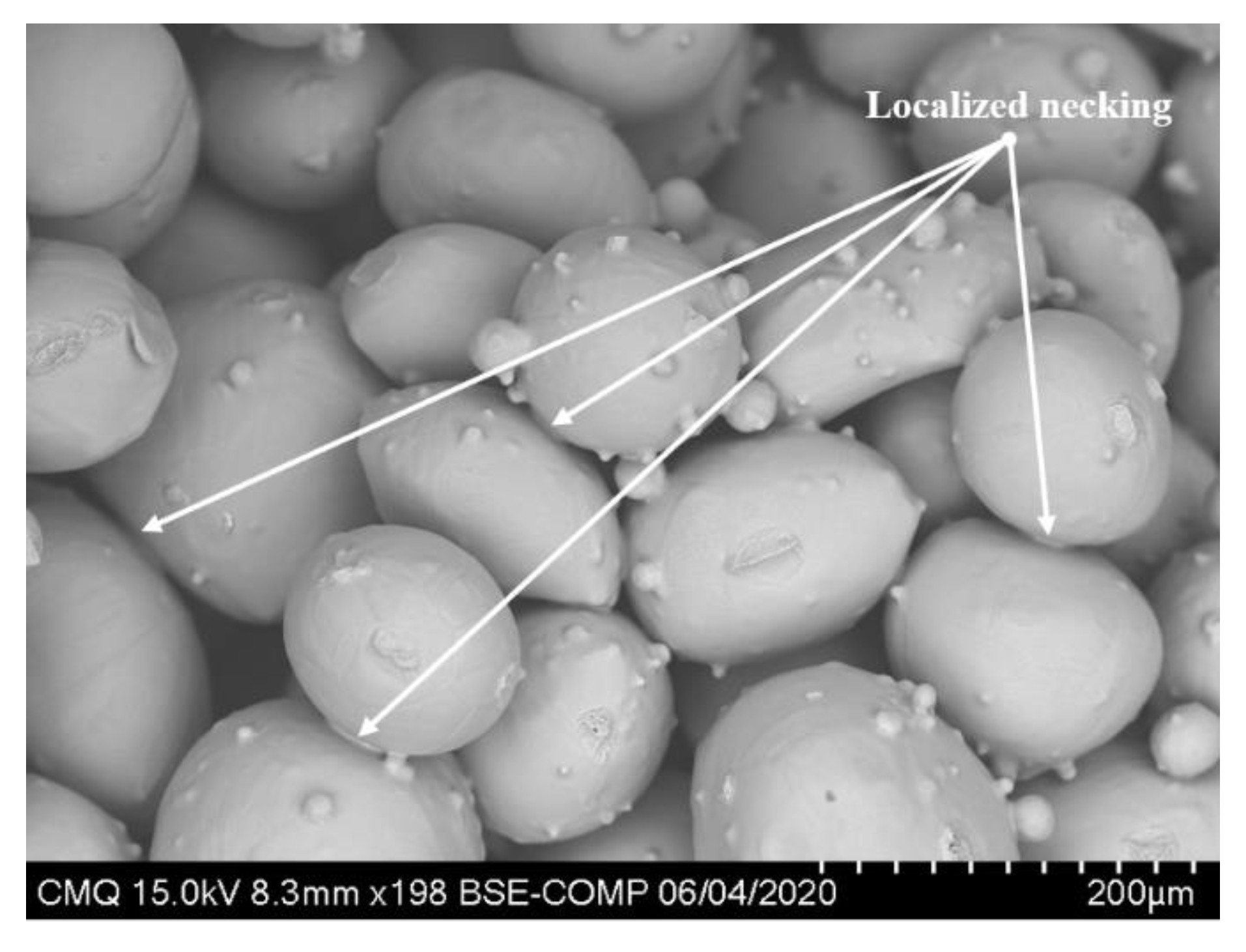 Materials 14 04499 g004