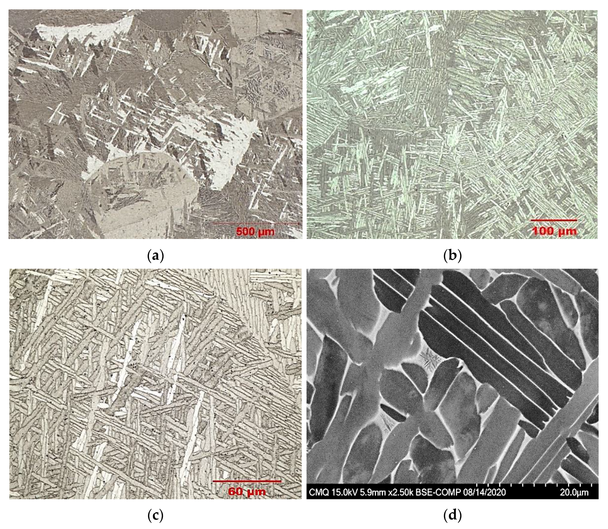 Materials 14 04499 g005