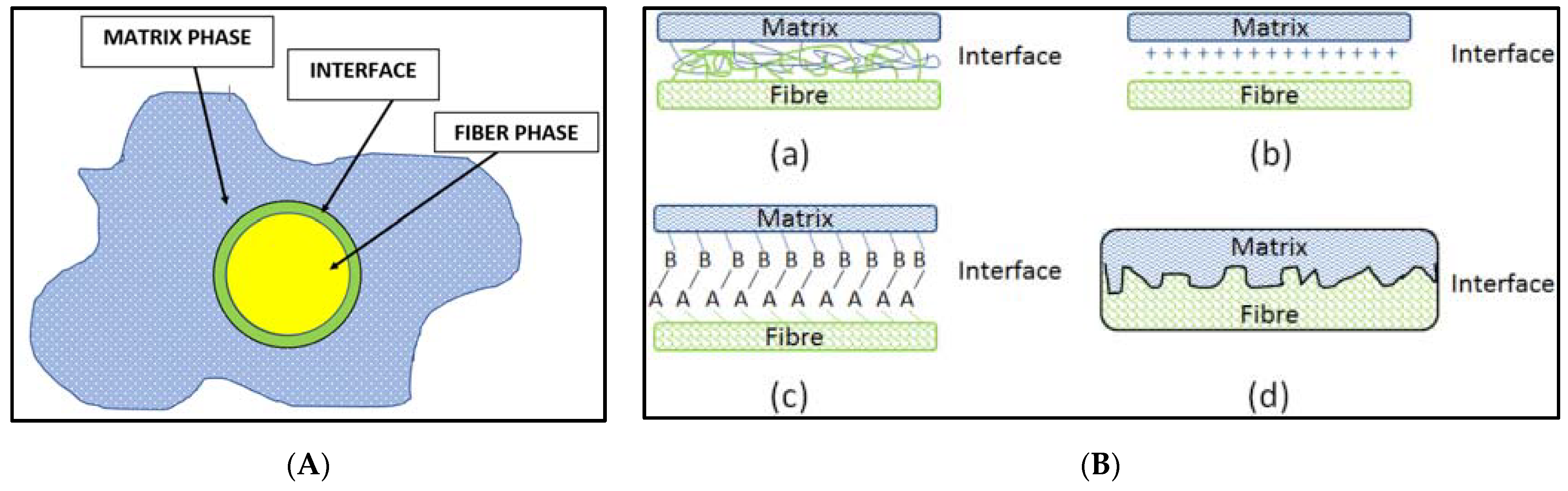 Materials 14 04520 g010