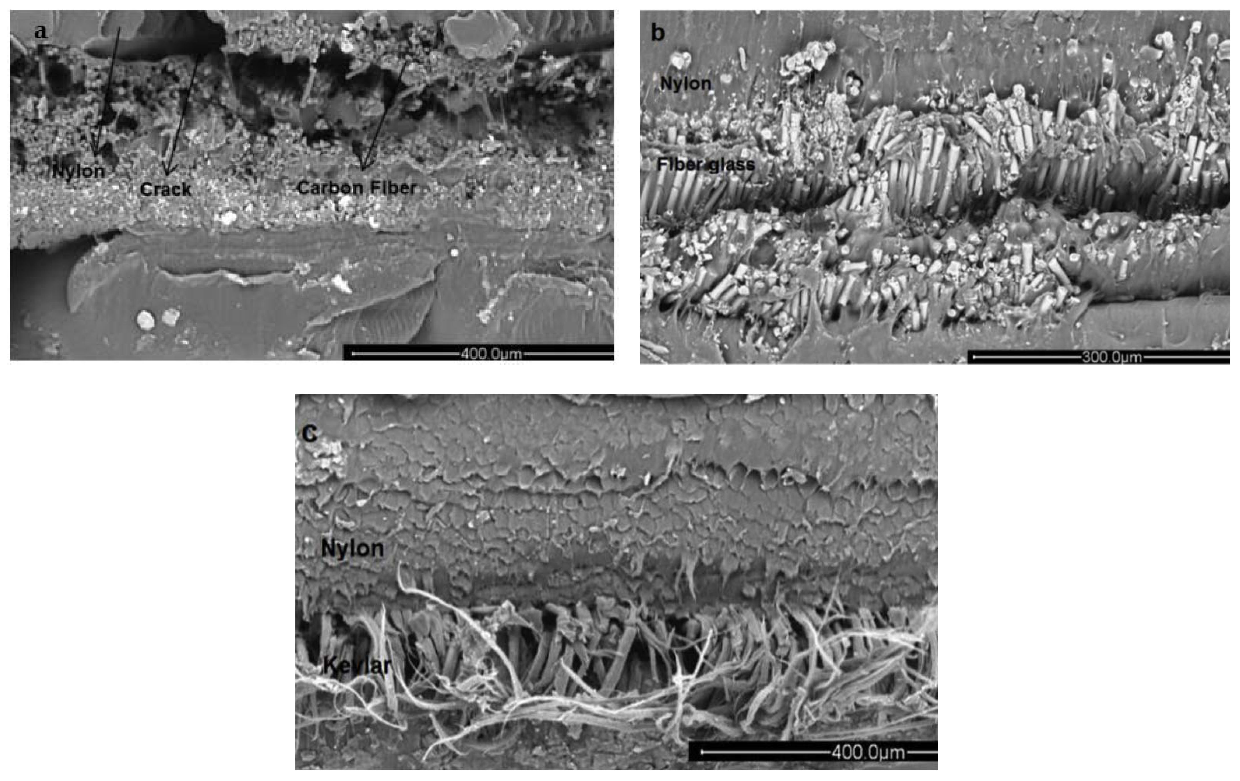 Materials 14 04520 g018