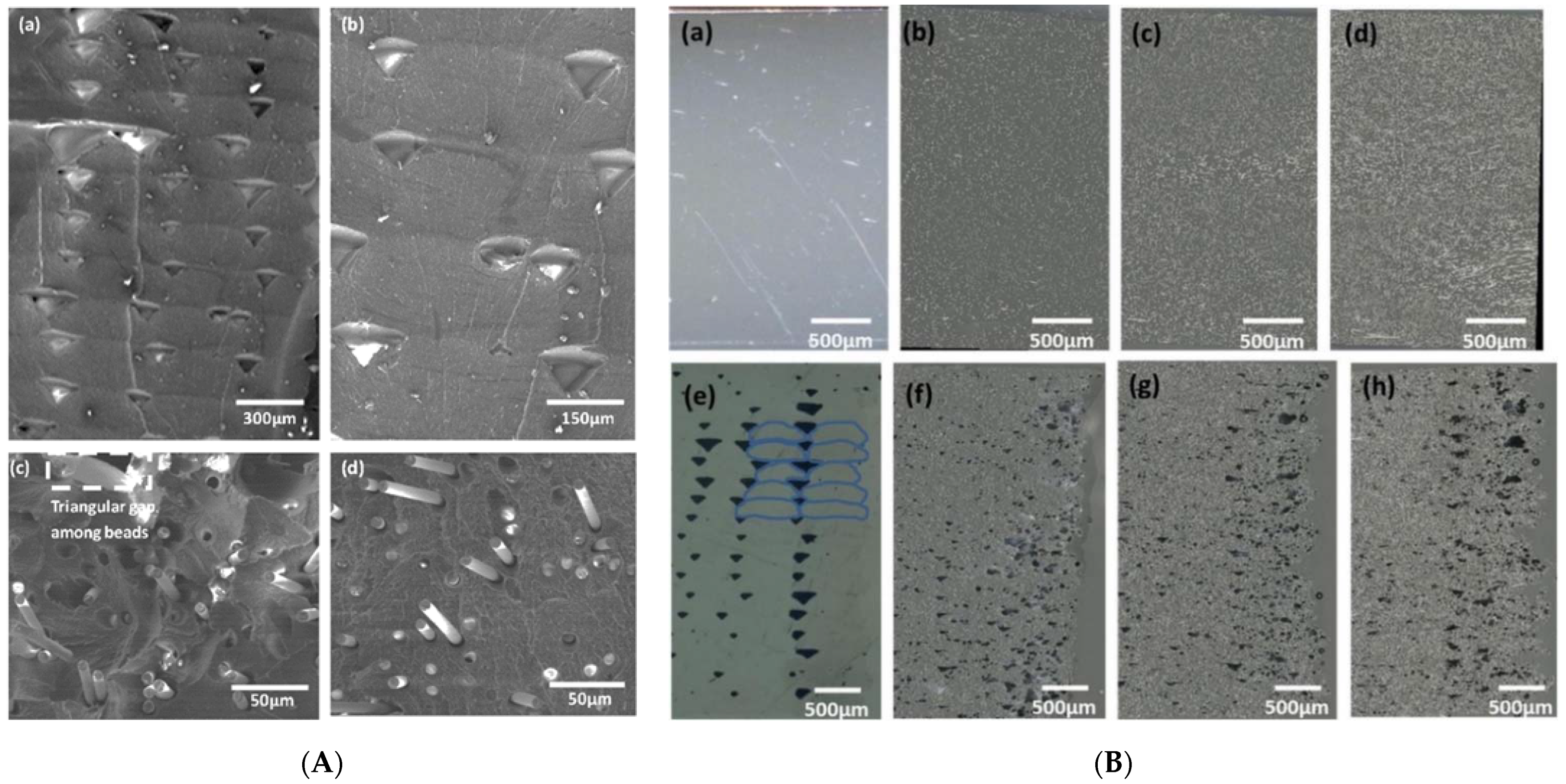 Materials 14 04520 g020