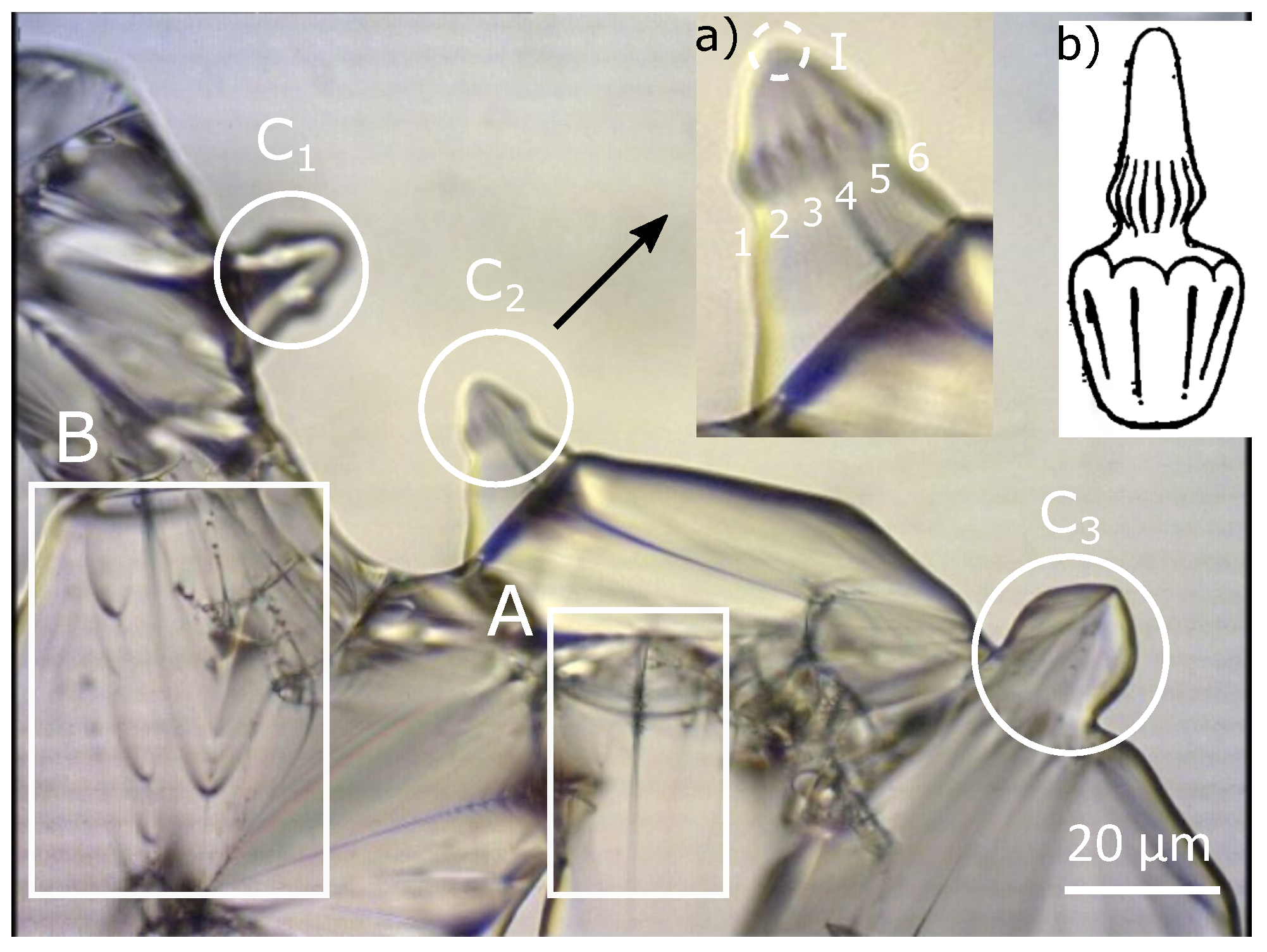 Materials 14 04539 g004