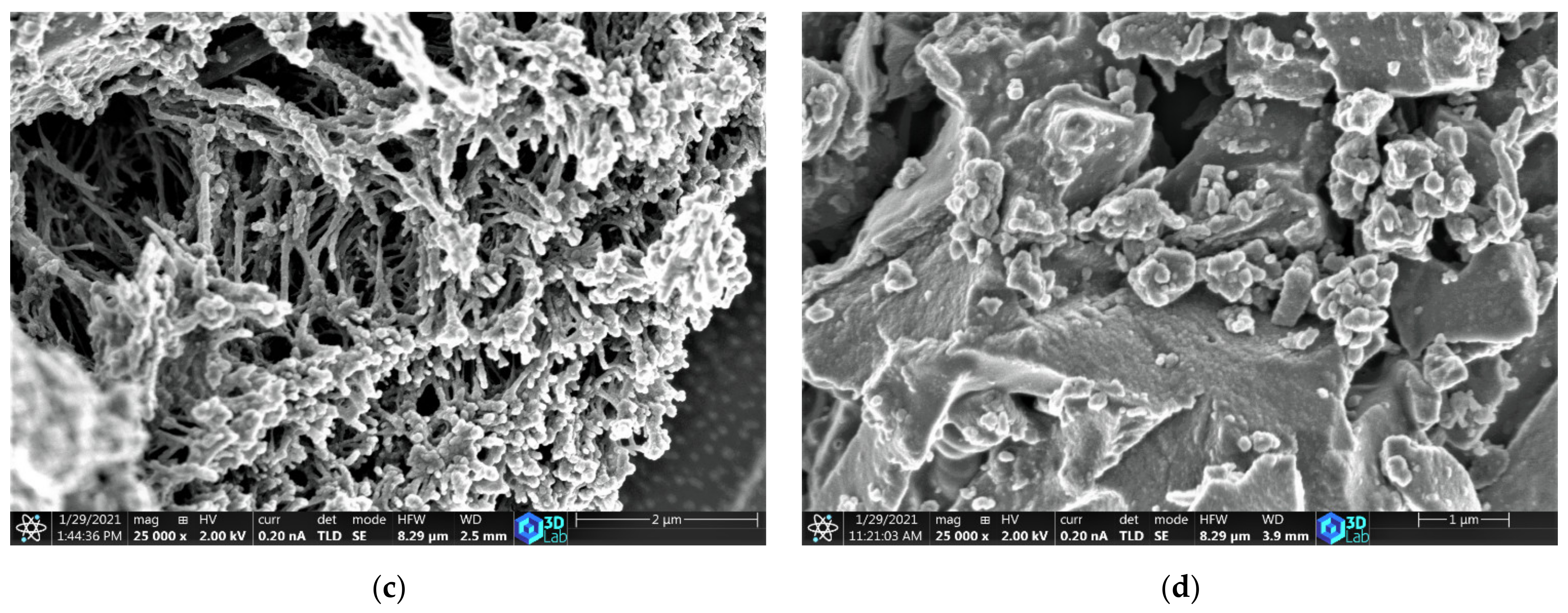 Materials 14 04540 g002b Materials 14 04540 g002b