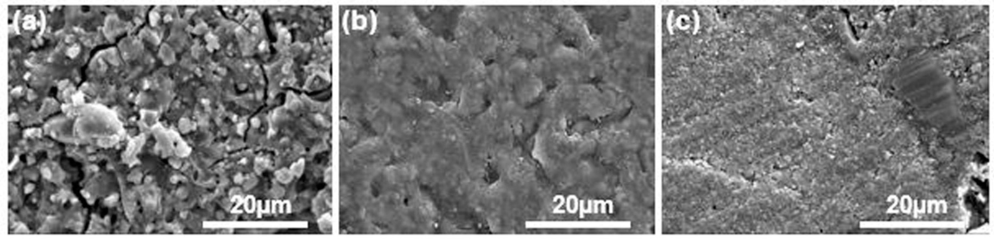 Materials 14 04554 g001