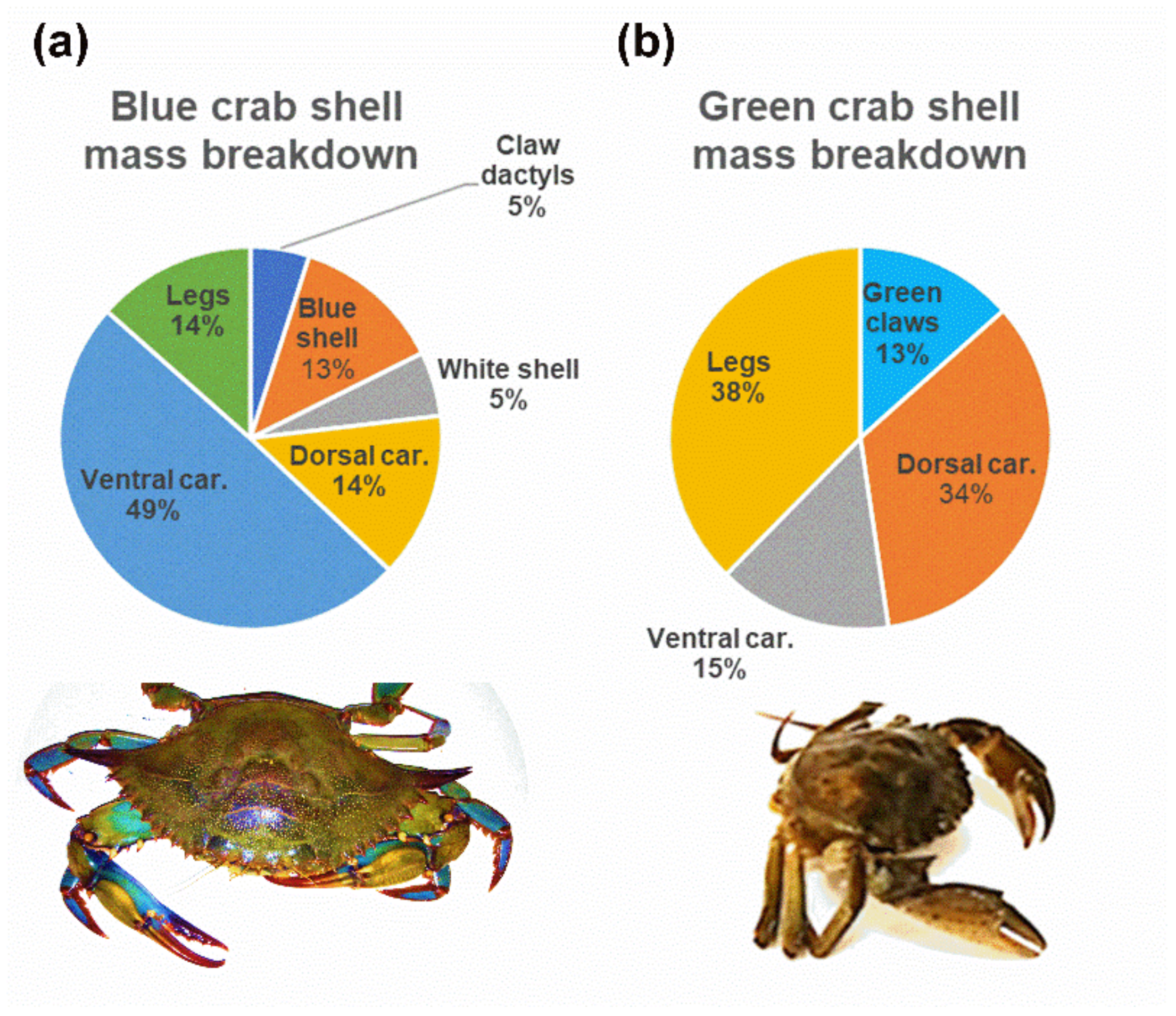 Materials 14 04558 g001