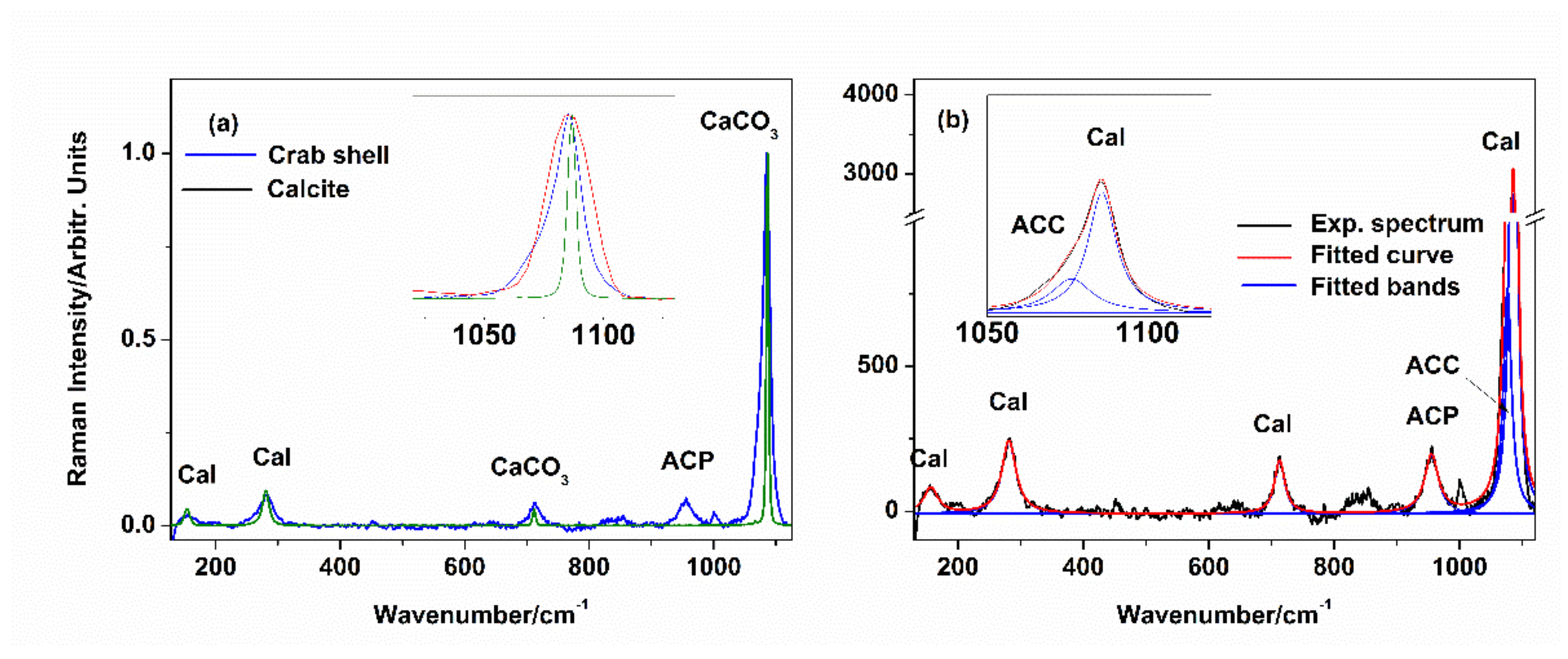 Materials 14 04558 g002