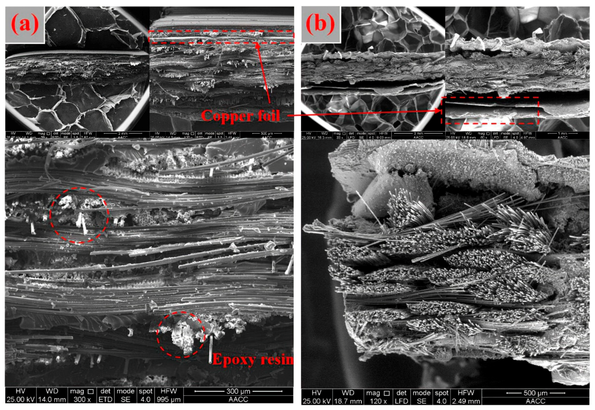Materials 14 04566 g003 Materials 14 04566 g003