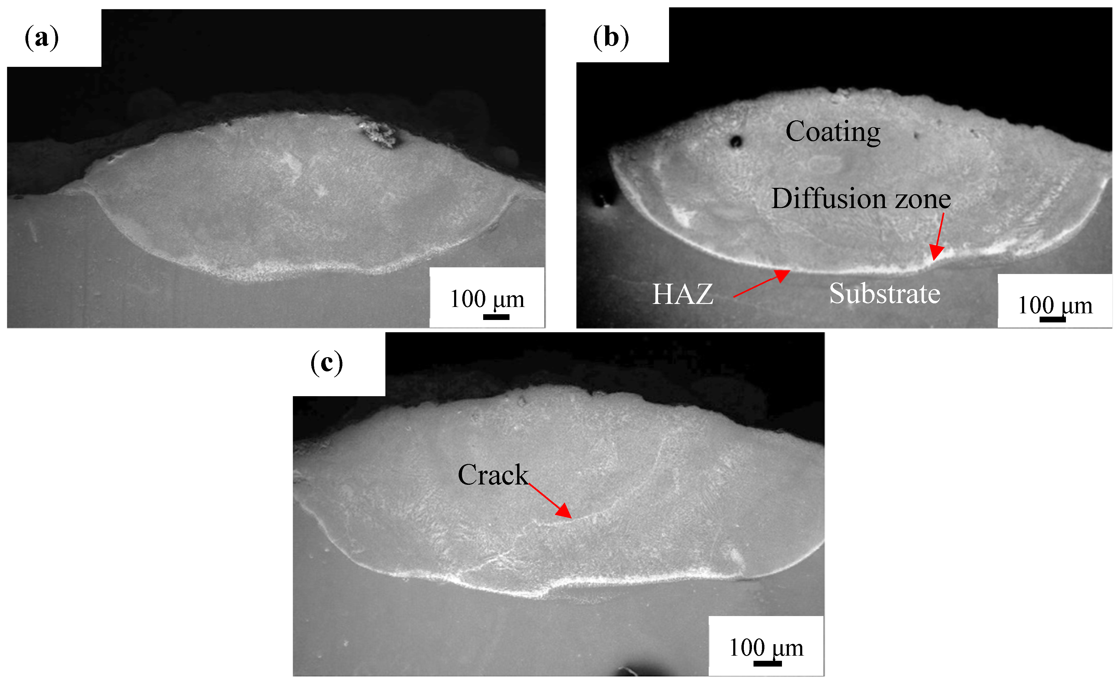 Materials 14 04567 g003