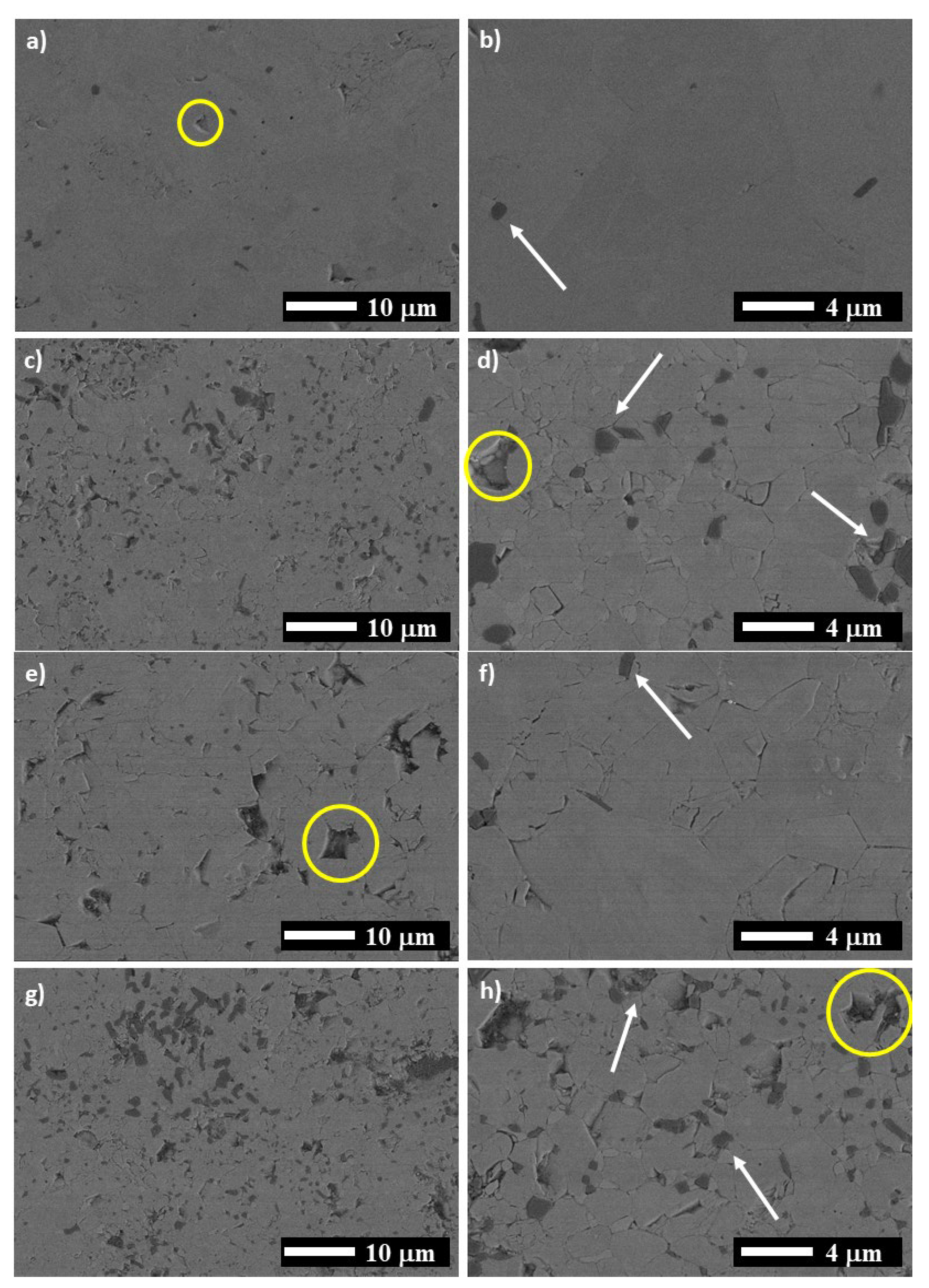 Materials 14 04574 g004