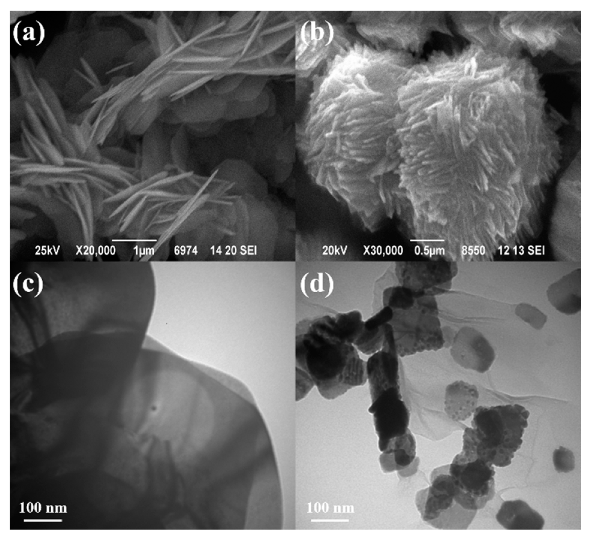 Materials 14 04577 g005