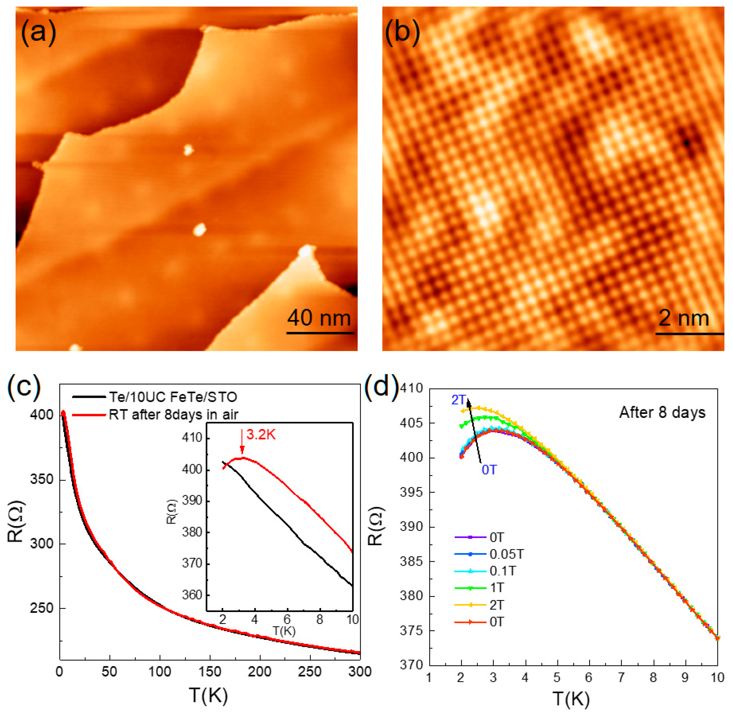 Materials 14 04584 g001