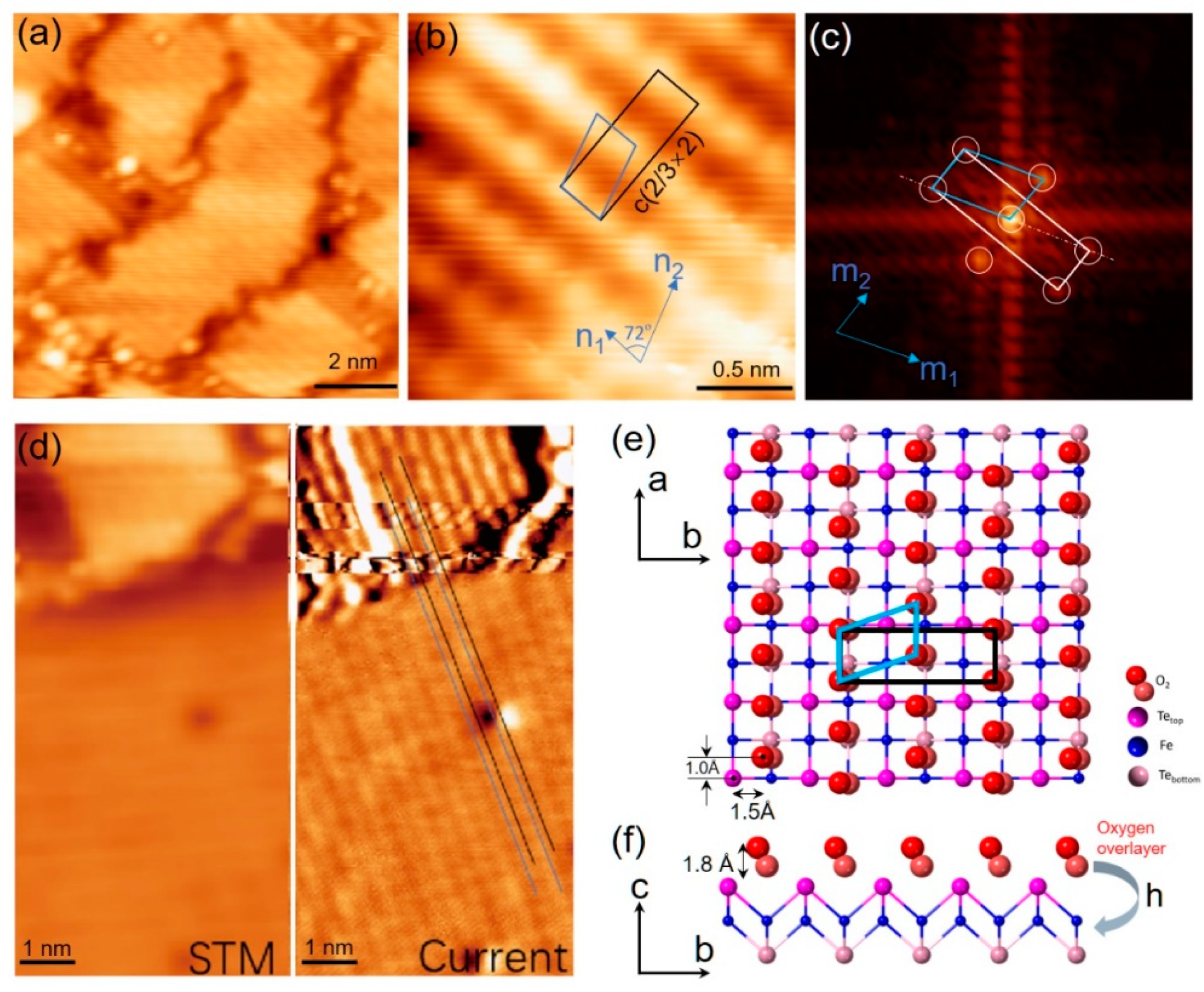 Materials 14 04584 g003