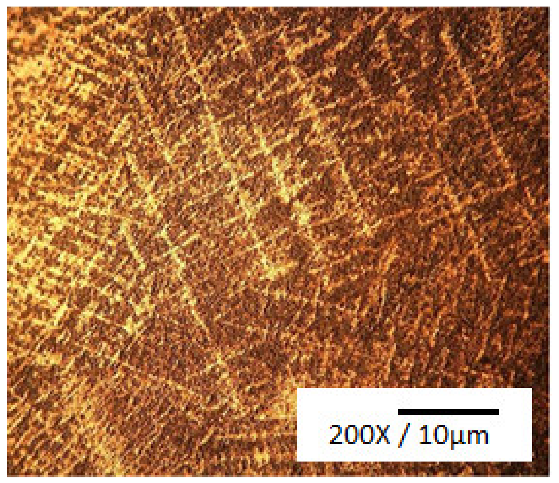 Materials 14 04587 g002