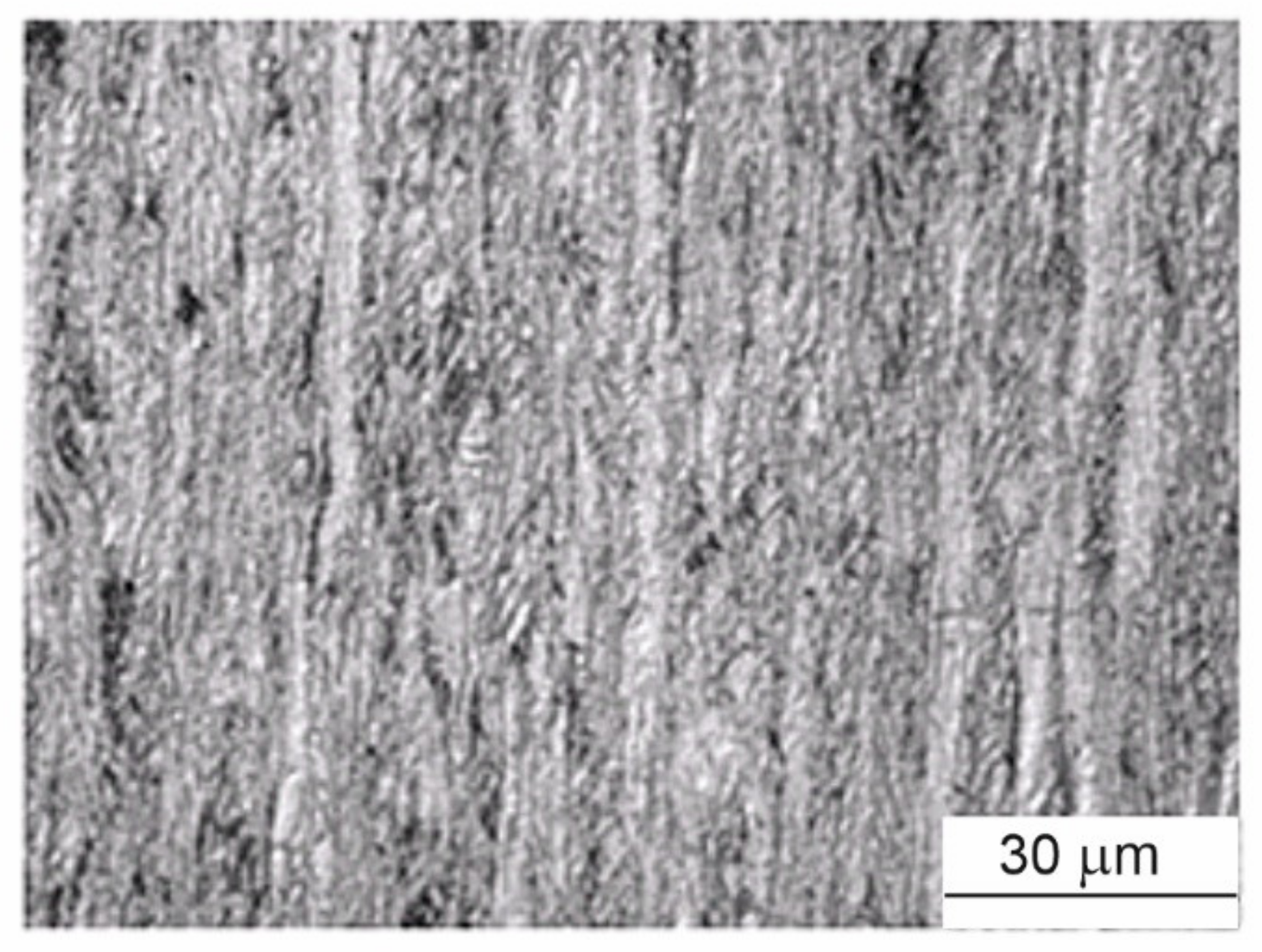 Materials 14 04587 g017