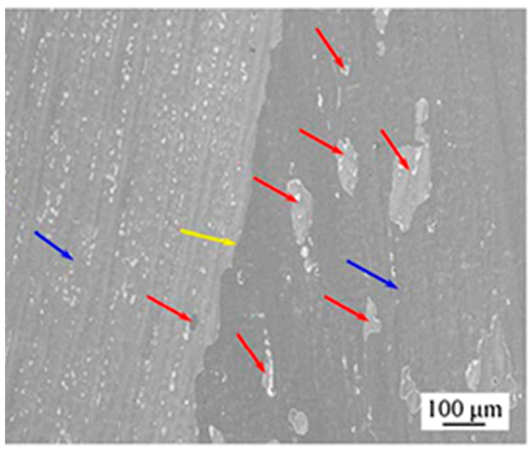 Materials 14 04587 g018