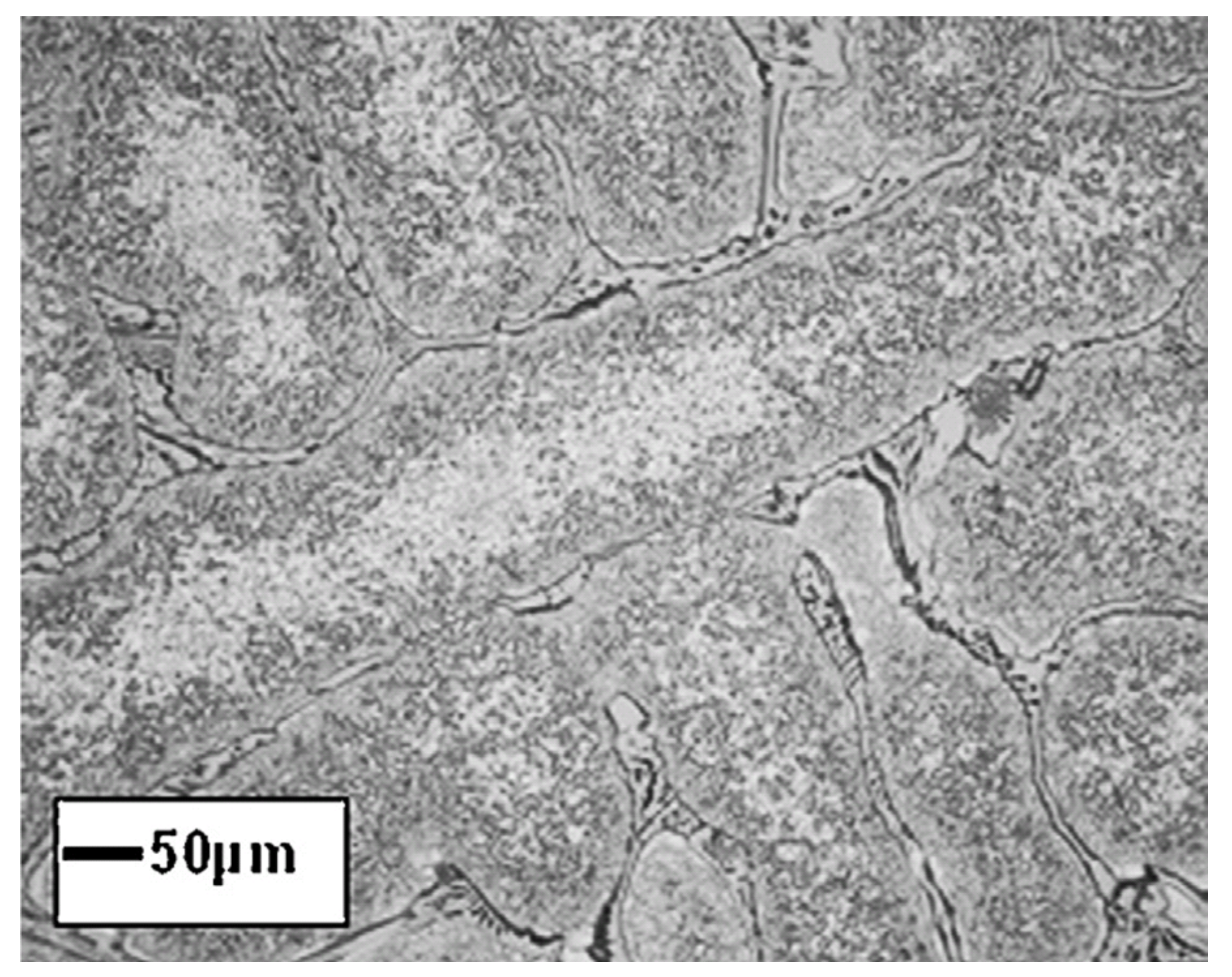 Materials 14 04587 g025