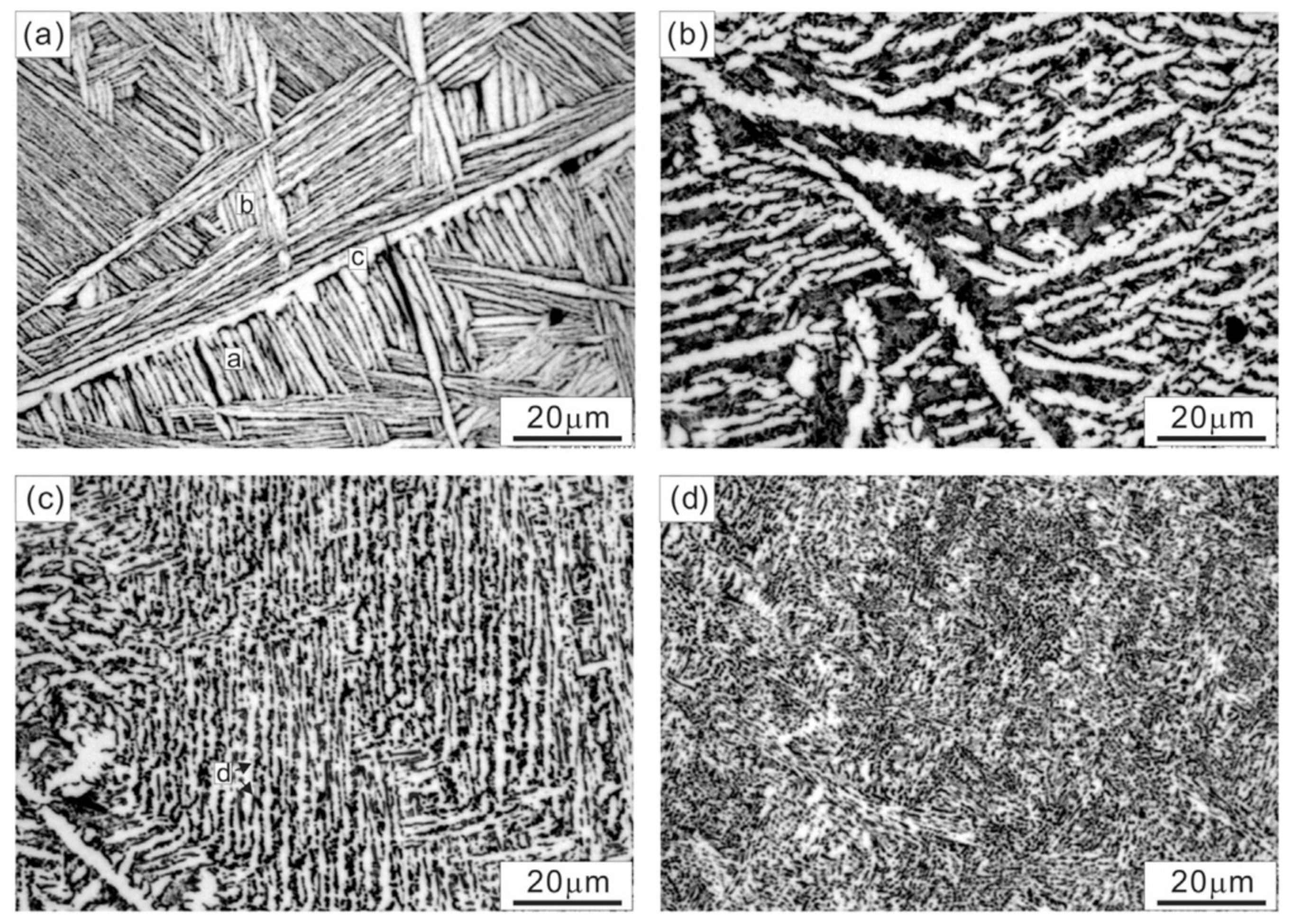 Materials 14 04587 g032