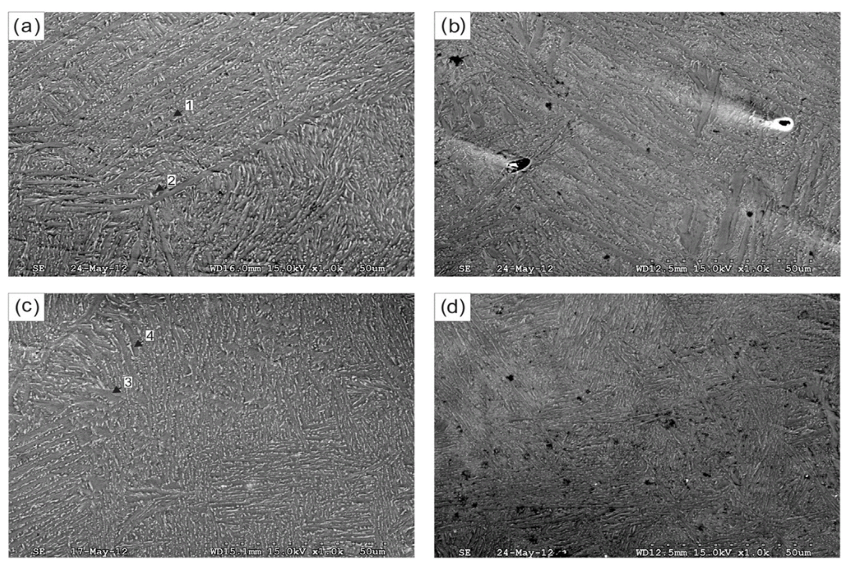 Materials 14 04587 g033