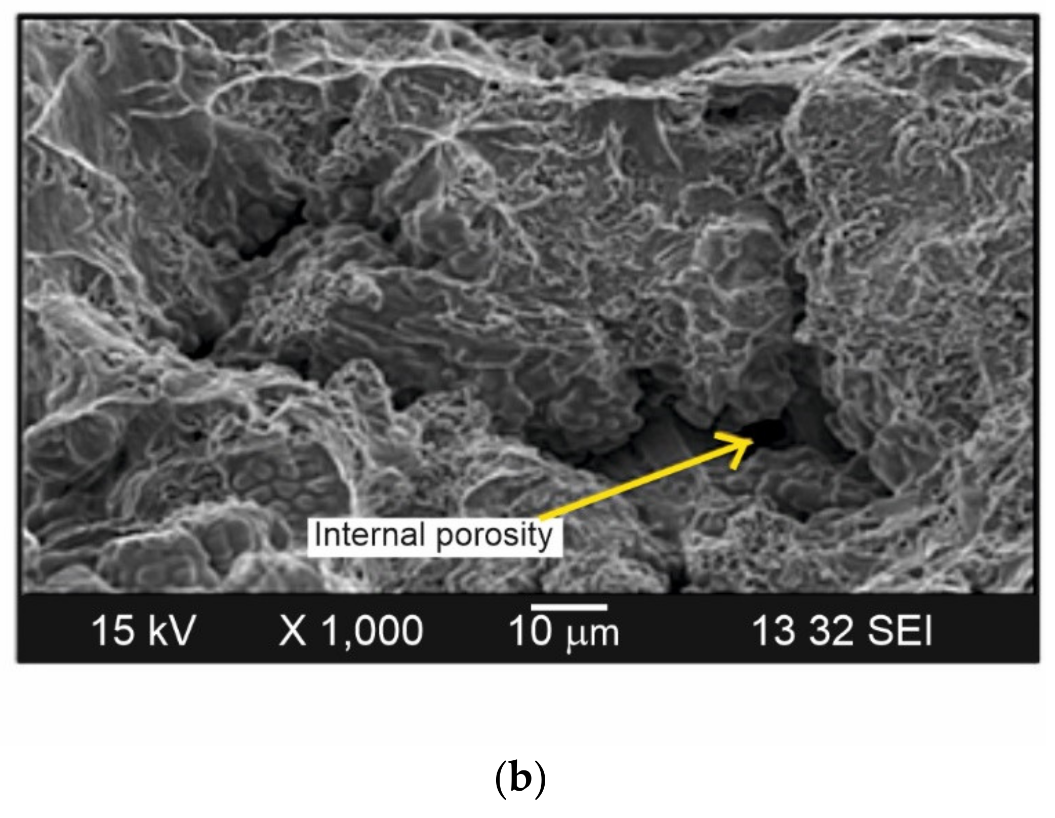 Materials 14 04587 g034b