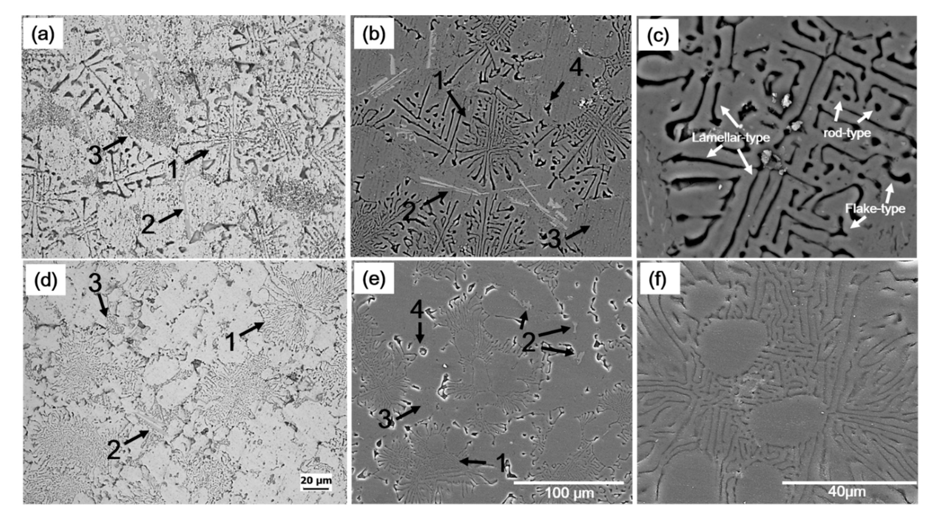 Materials 14 04588 g001