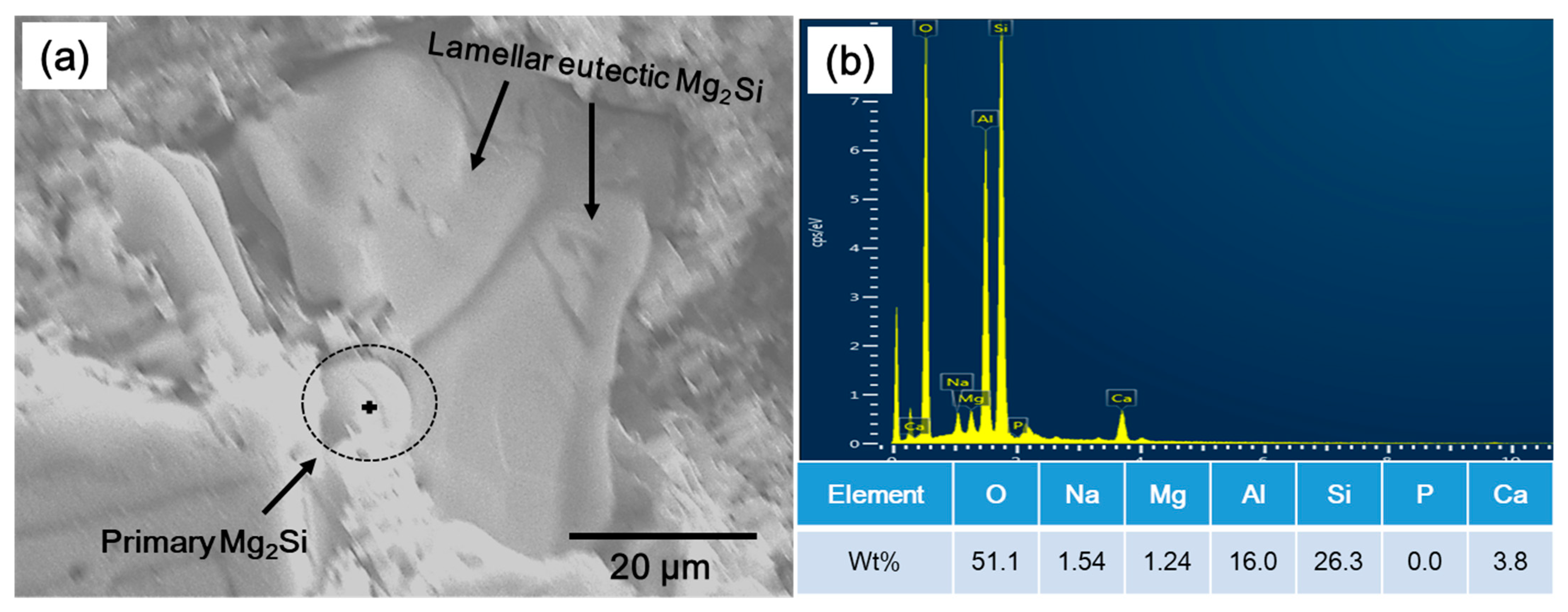 Materials 14 04588 g006
