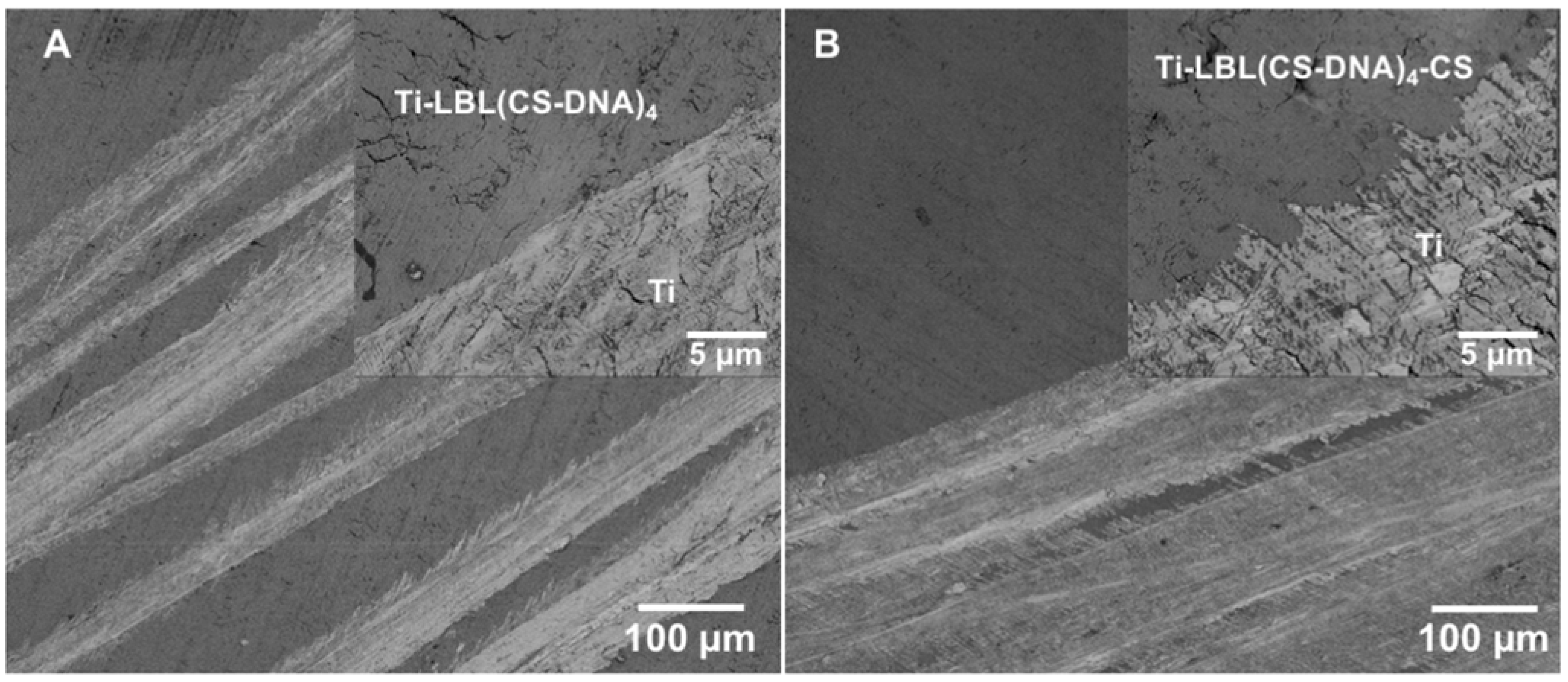 Materials 14 04596 g001