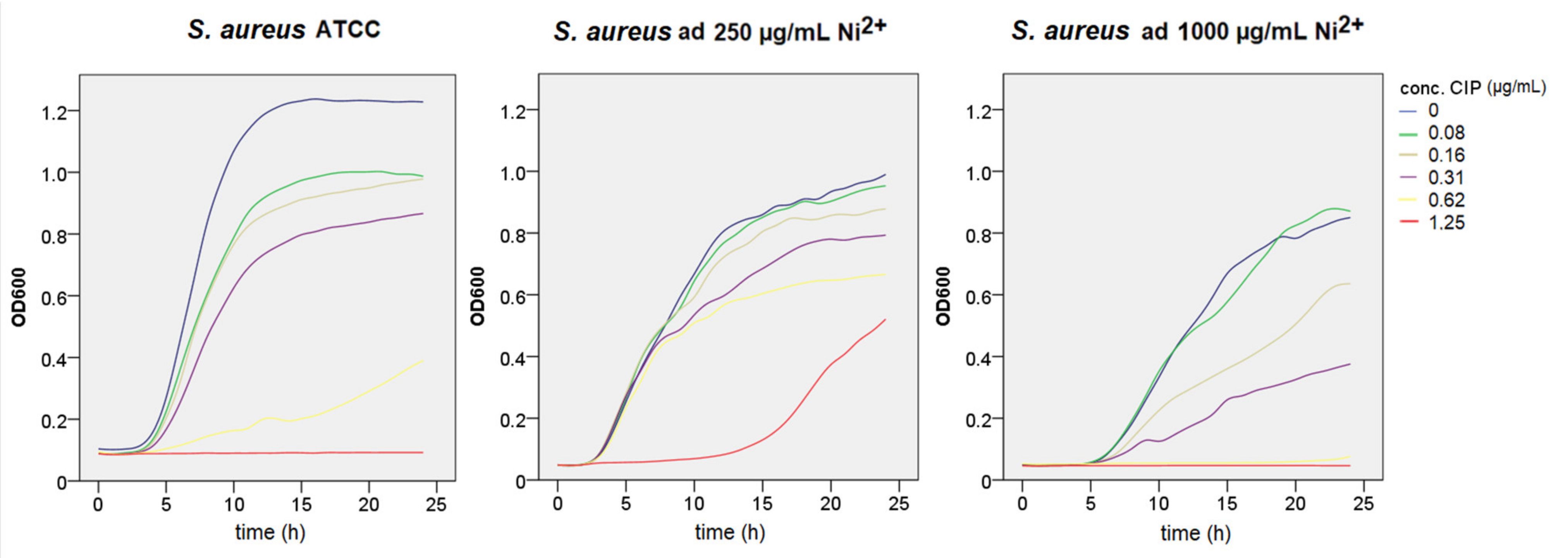 Materials 14 04603 g004