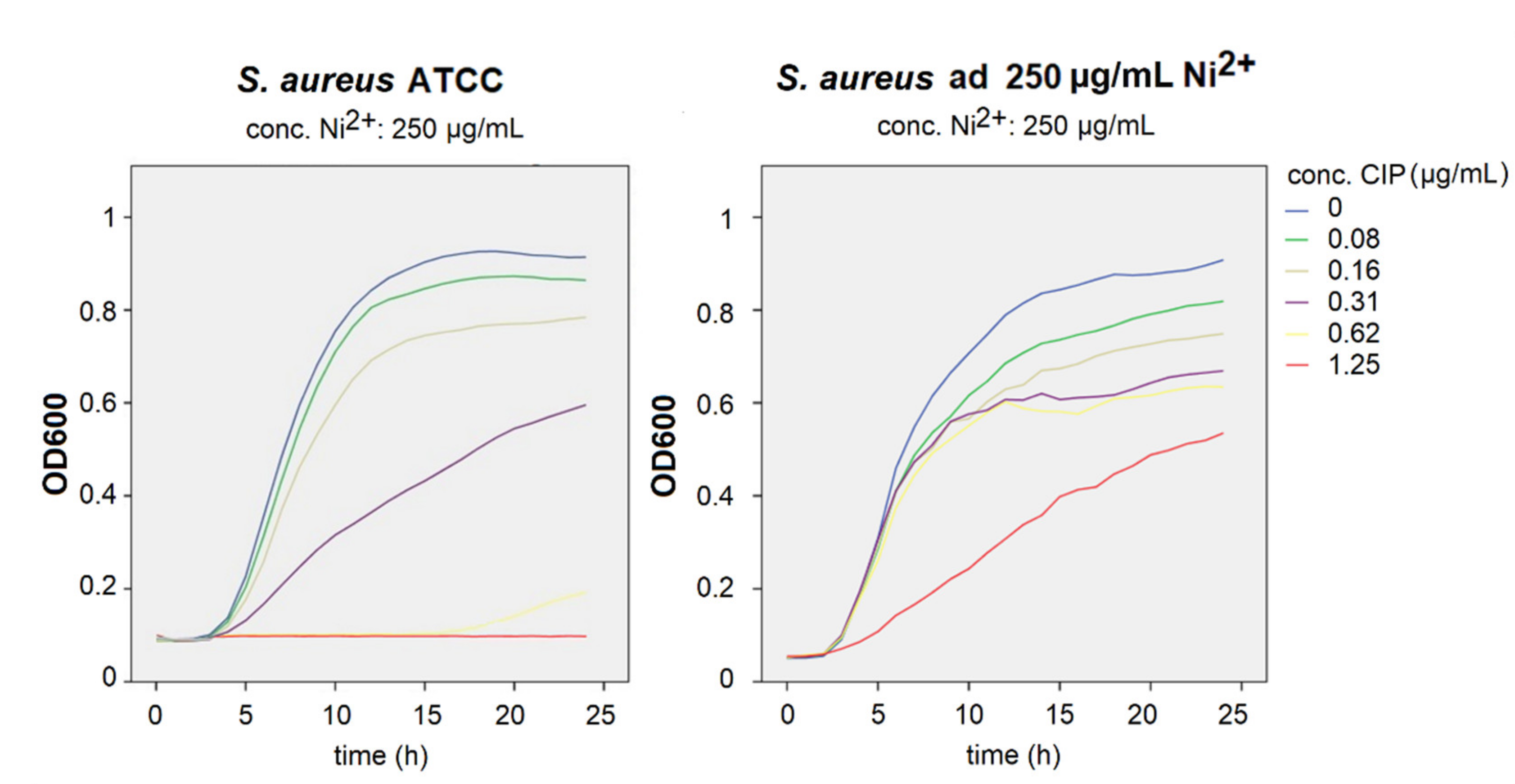 Materials 14 04603 g005