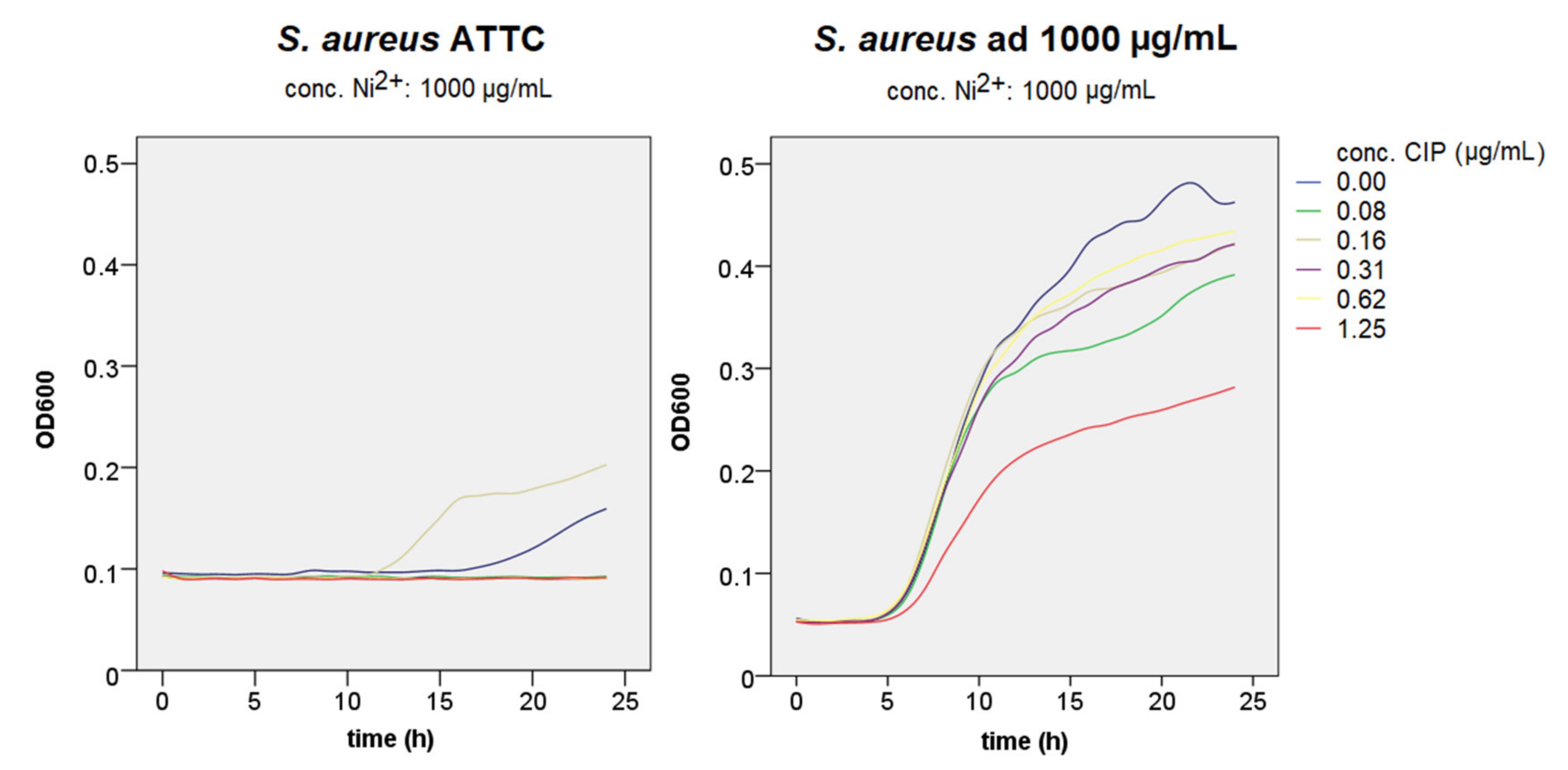 Materials 14 04603 g006