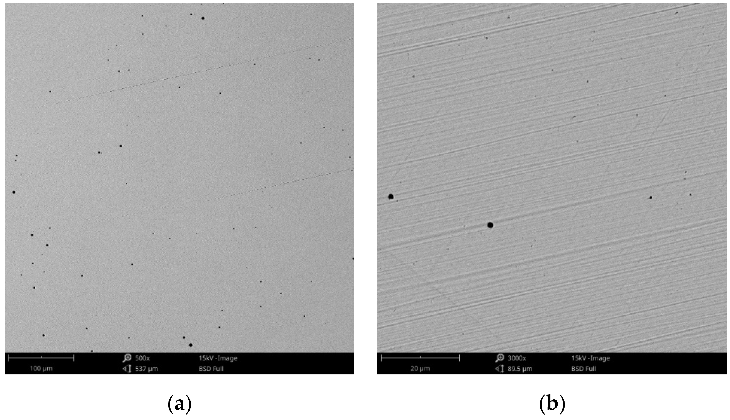 Materials 14 04635 g003