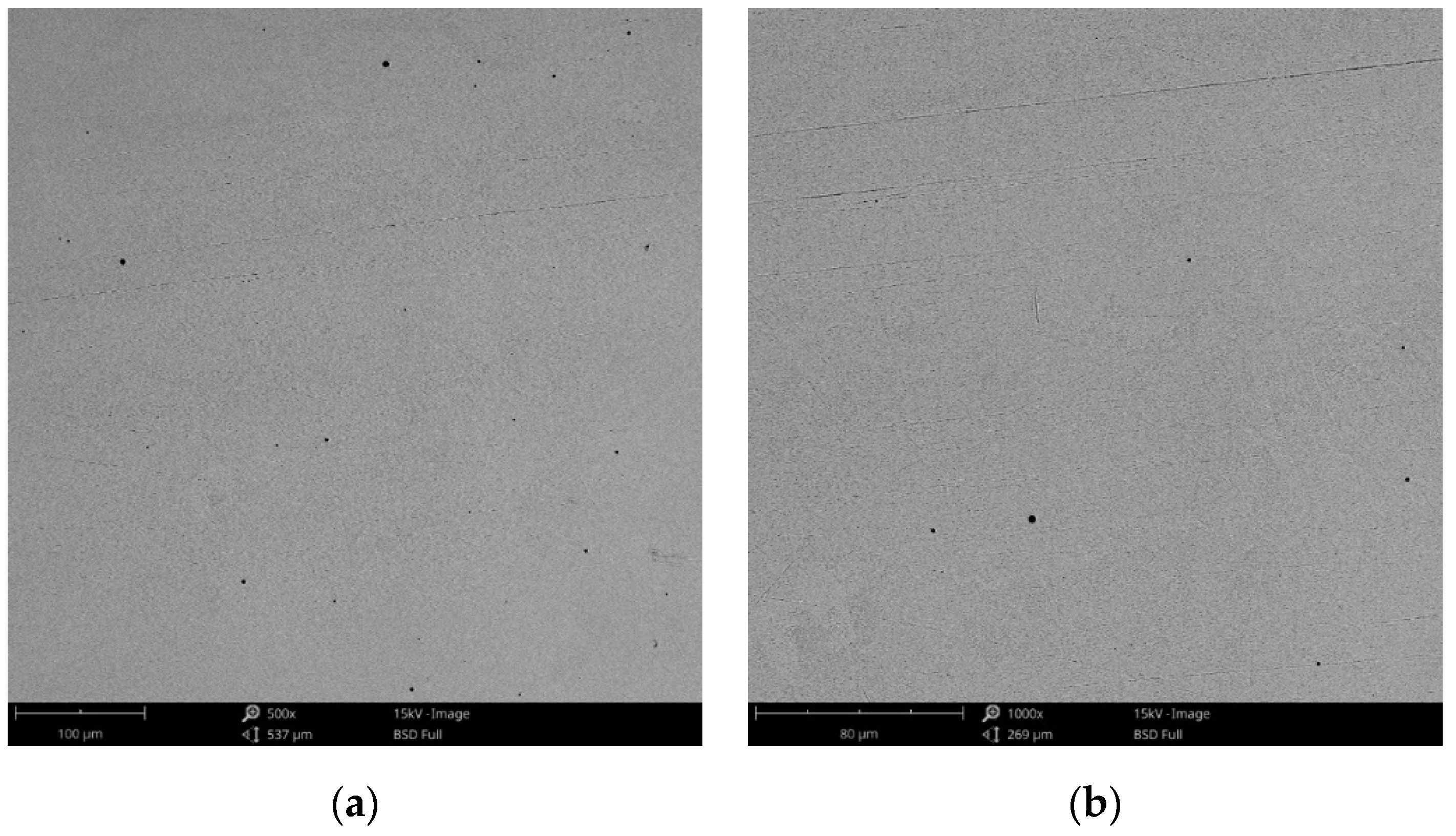 Materials 14 04635 g016