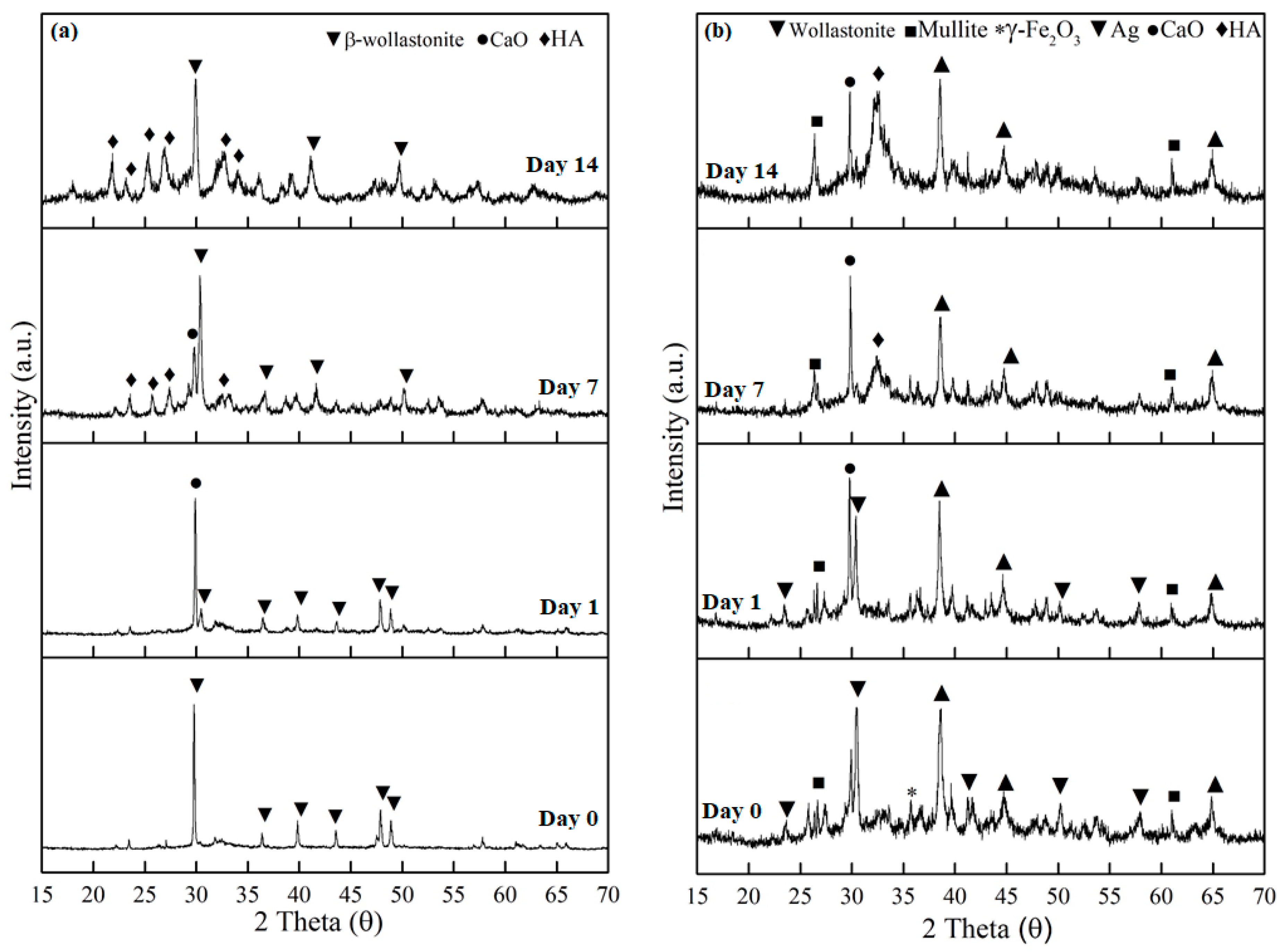 Materials 14 04643 g004 Materials 14 04643 g004