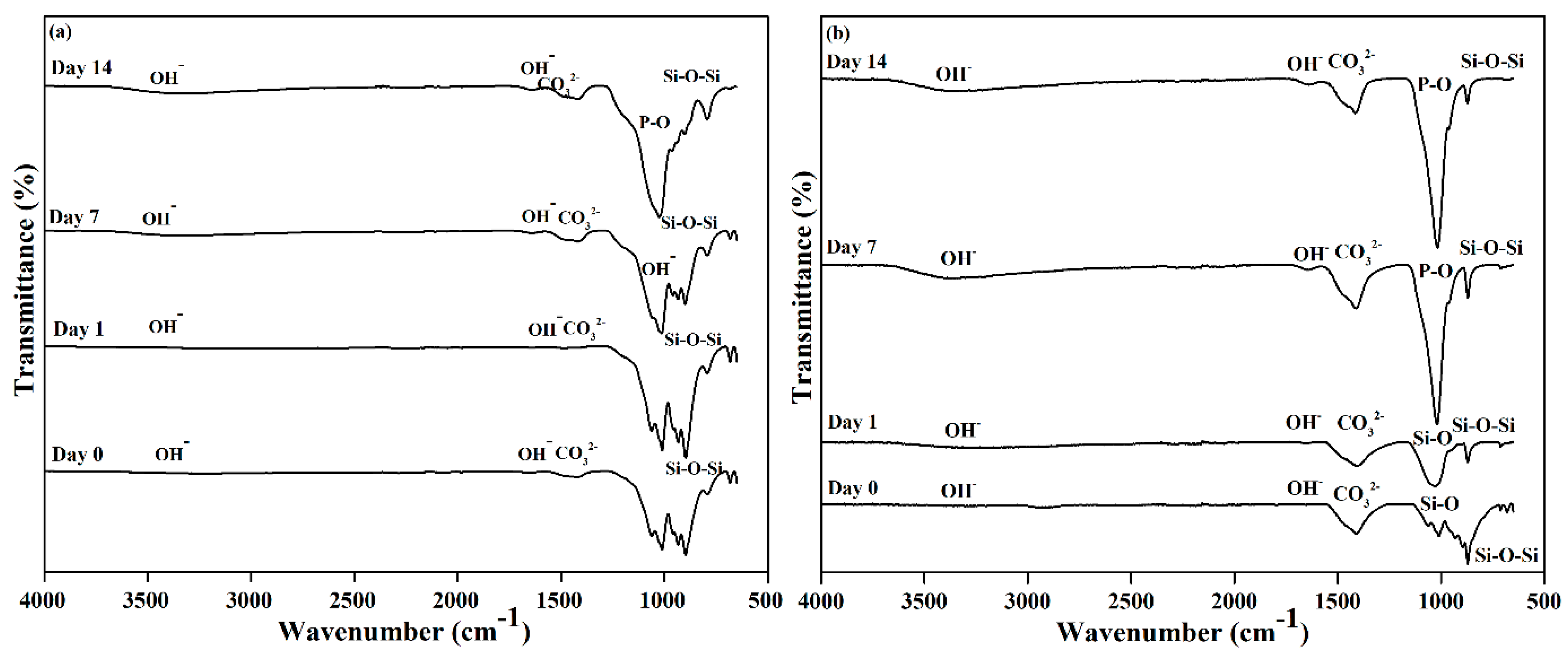 Materials 14 04643 g005 Materials 14 04643 g005