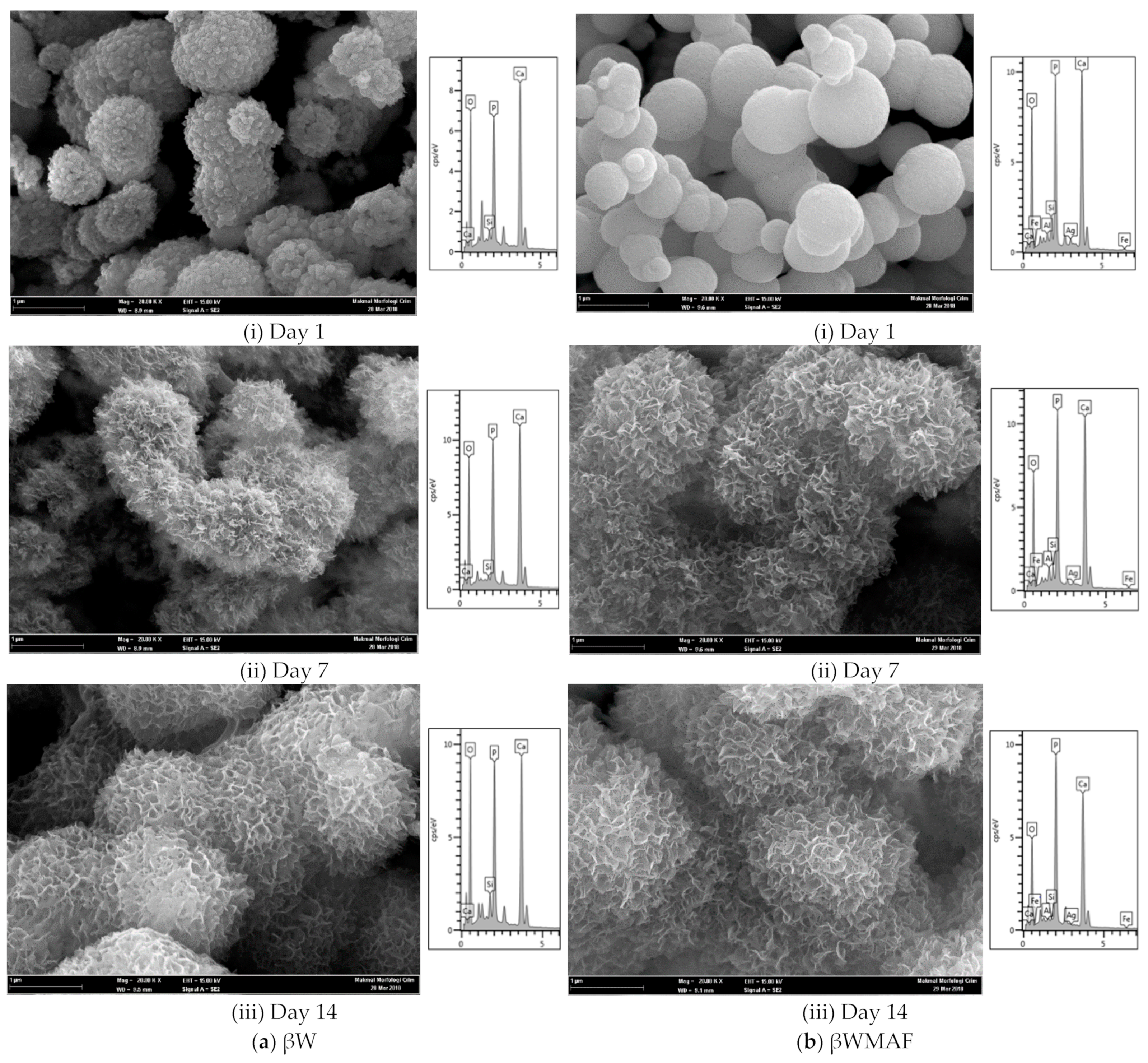 Materials 14 04643 g006 Materials 14 04643 g006