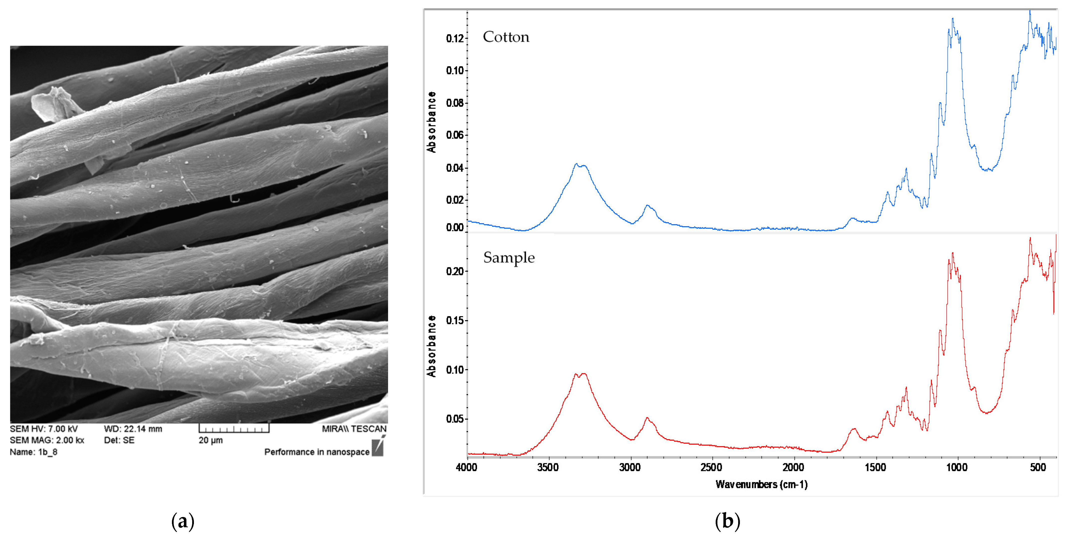 Materials 14 04650 g004