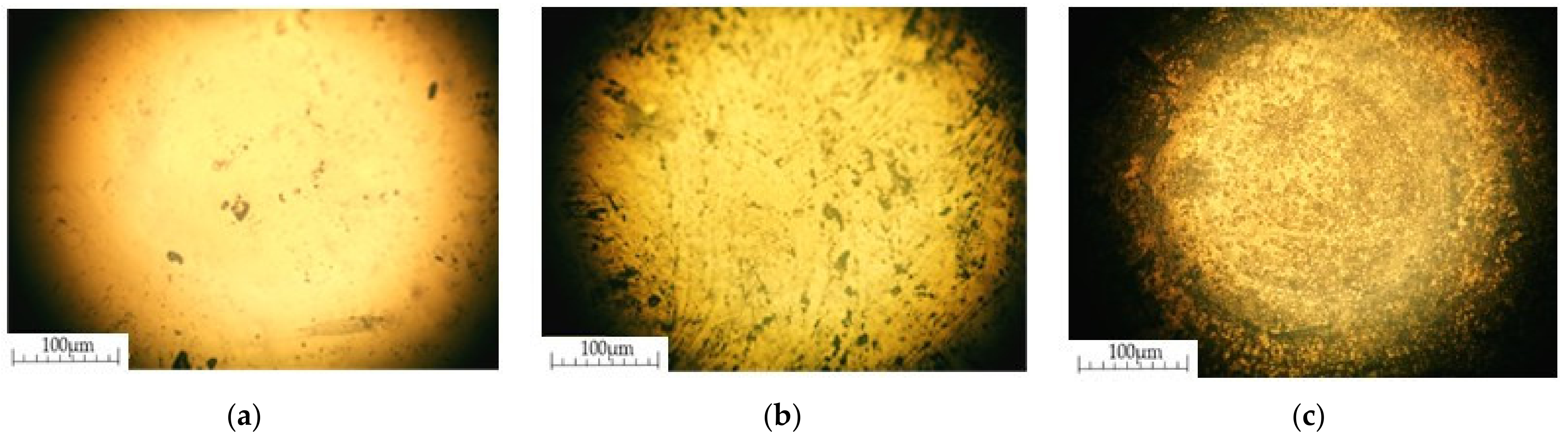 Materials 14 04654 g010