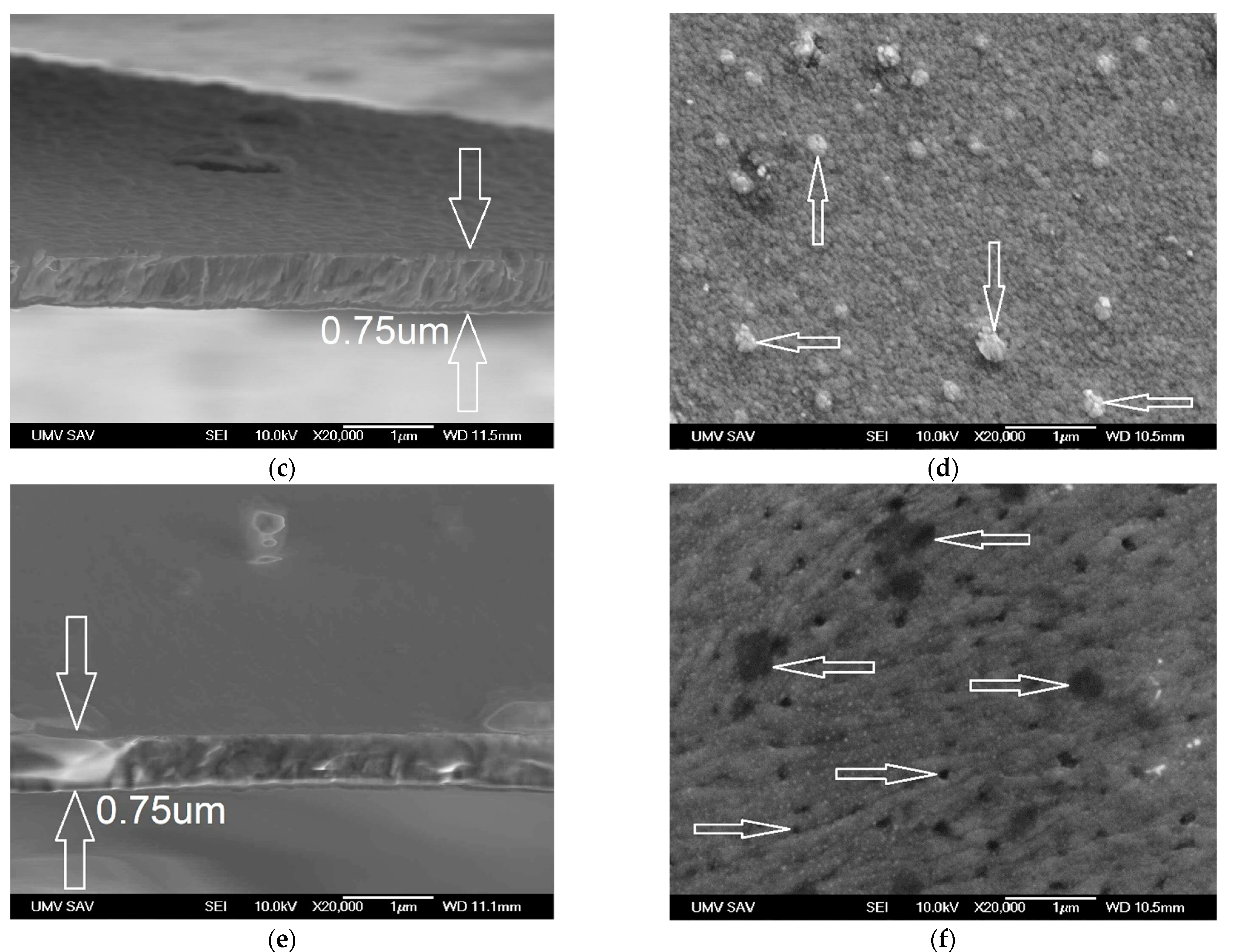 Materials 14 04658 g003b