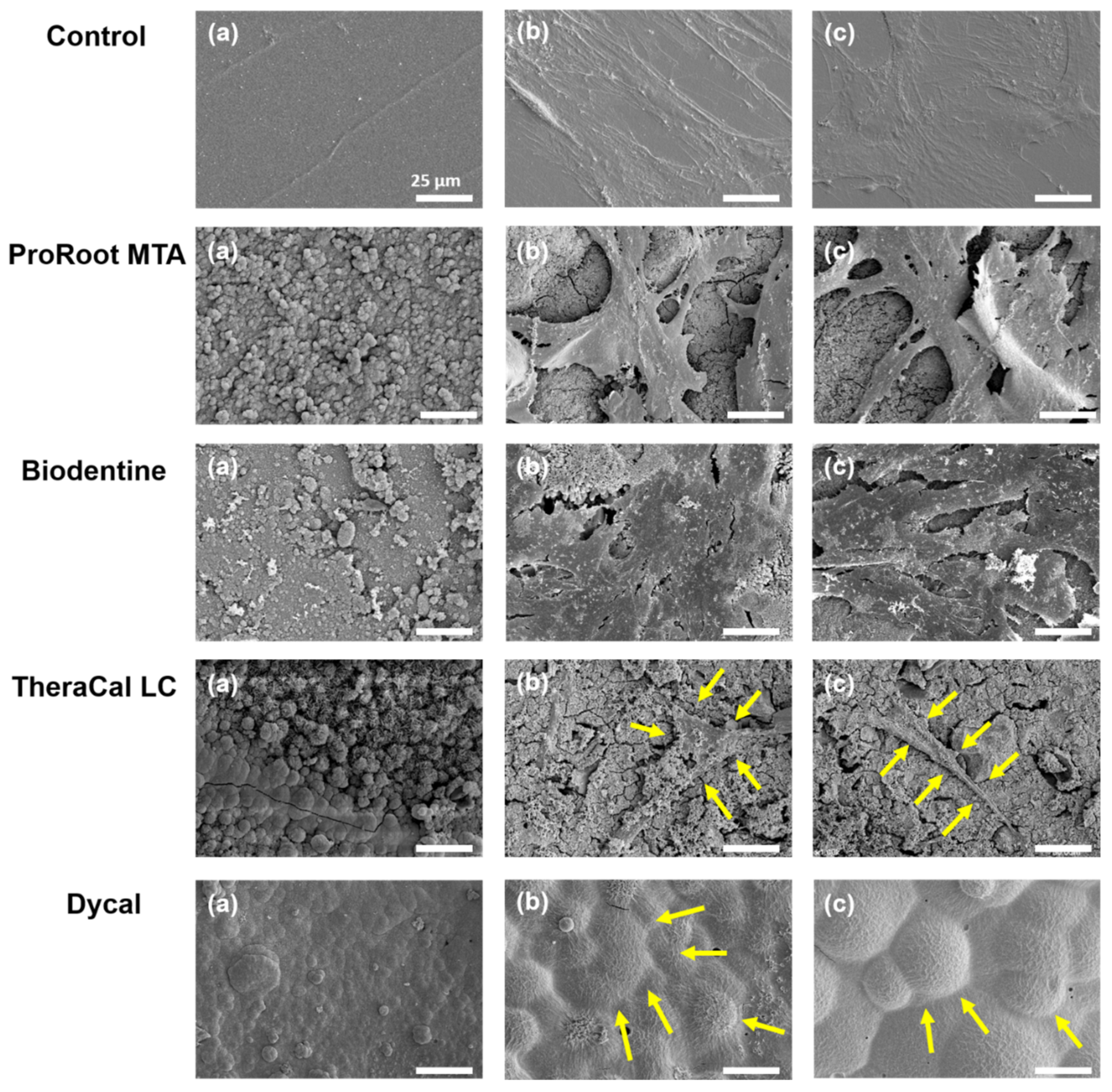 Materials 14 04661 g002