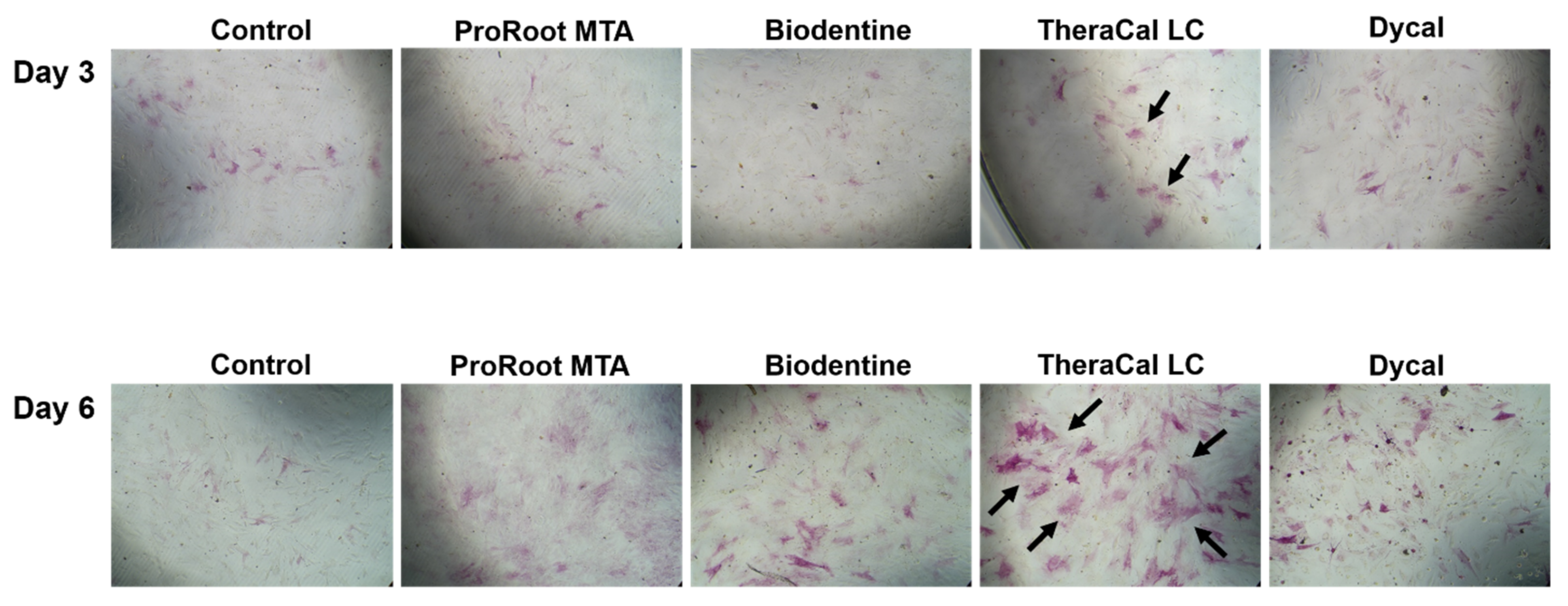 Materials 14 04661 g005