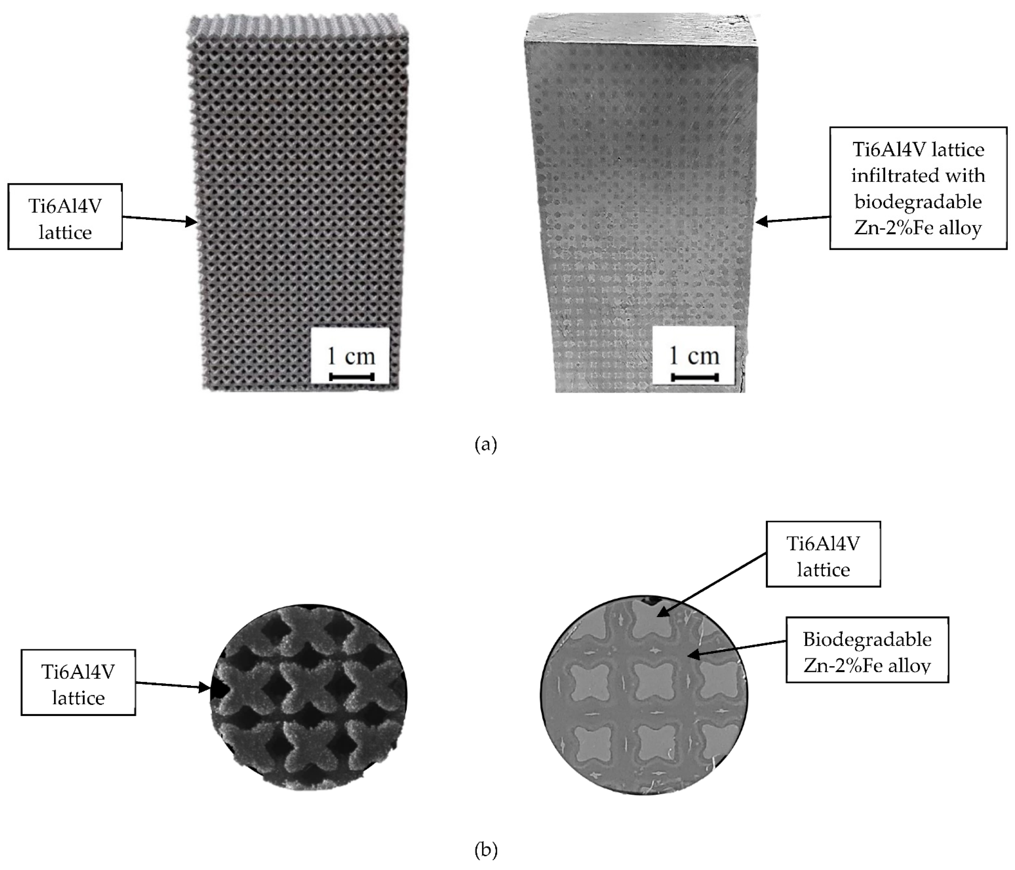 Materials 14 04682 g001
