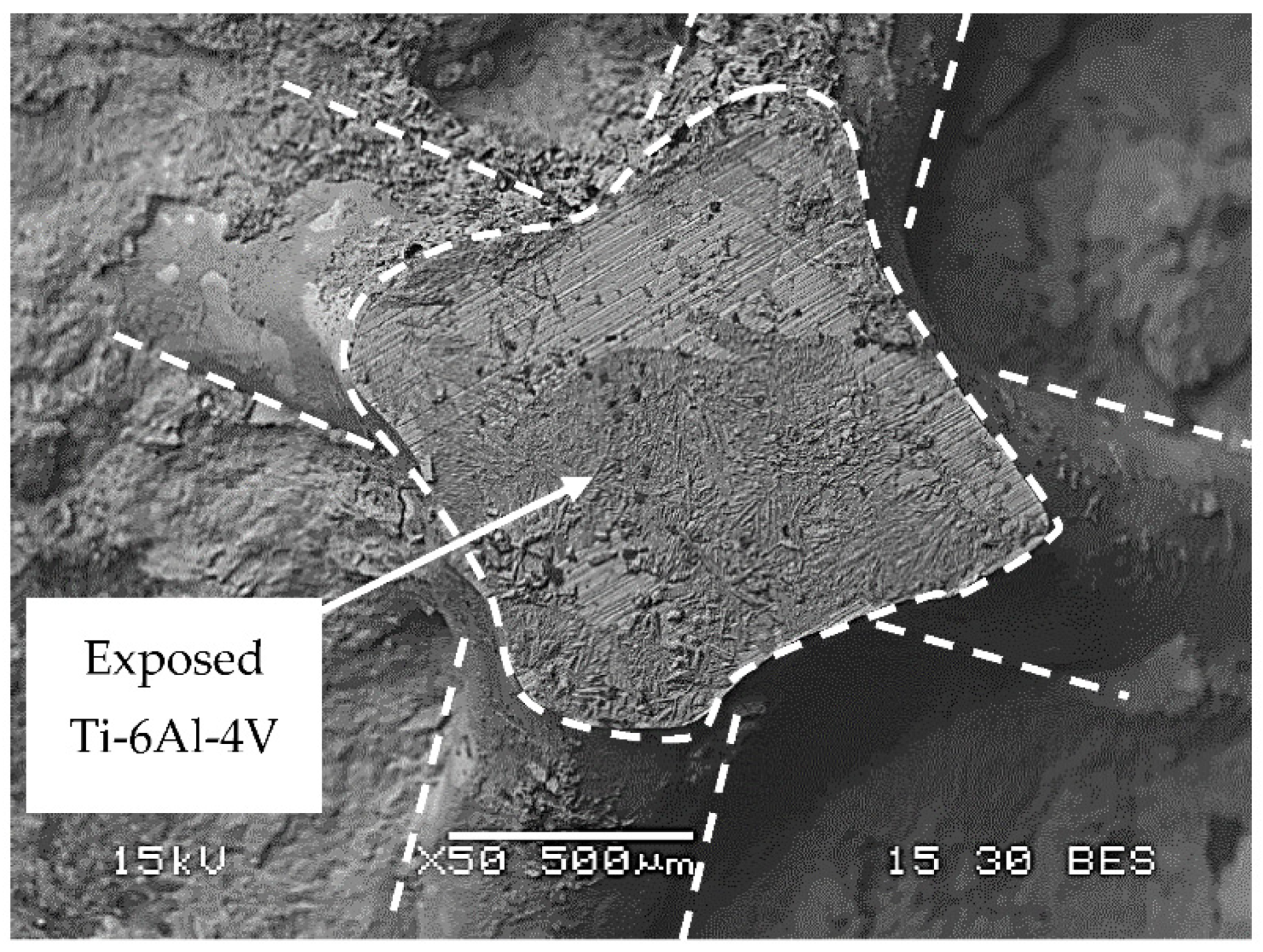 Materials 14 04682 g010