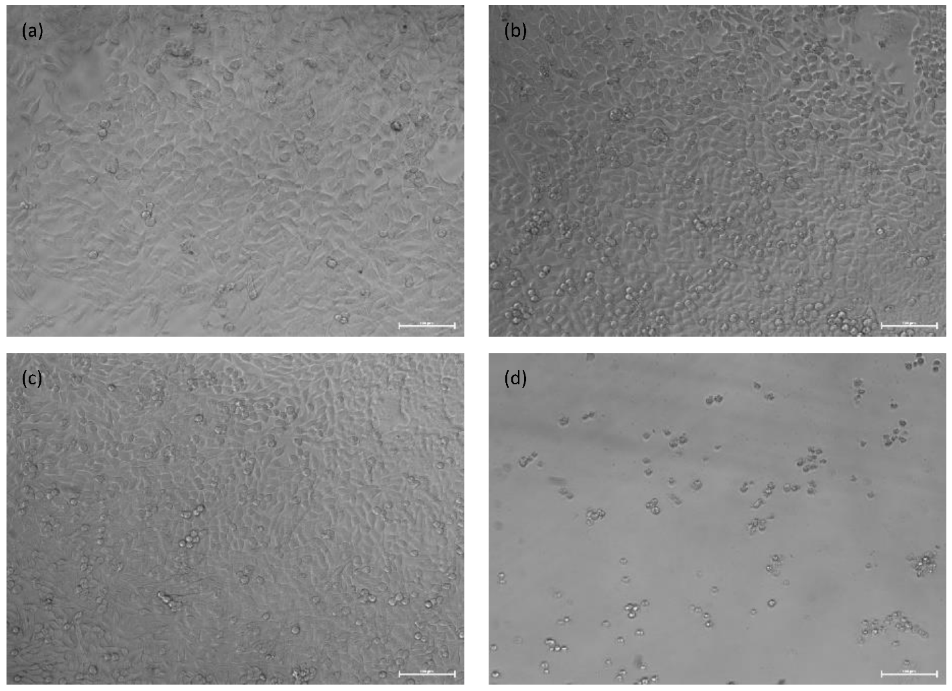 Materials 14 04682 g014